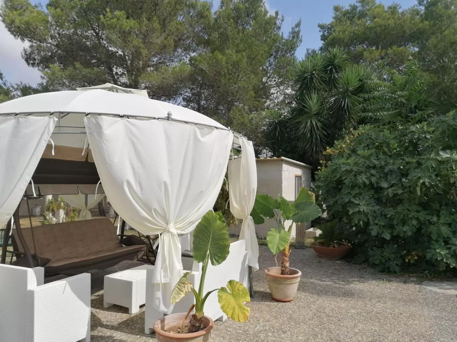 Property building in B&B Scipponate