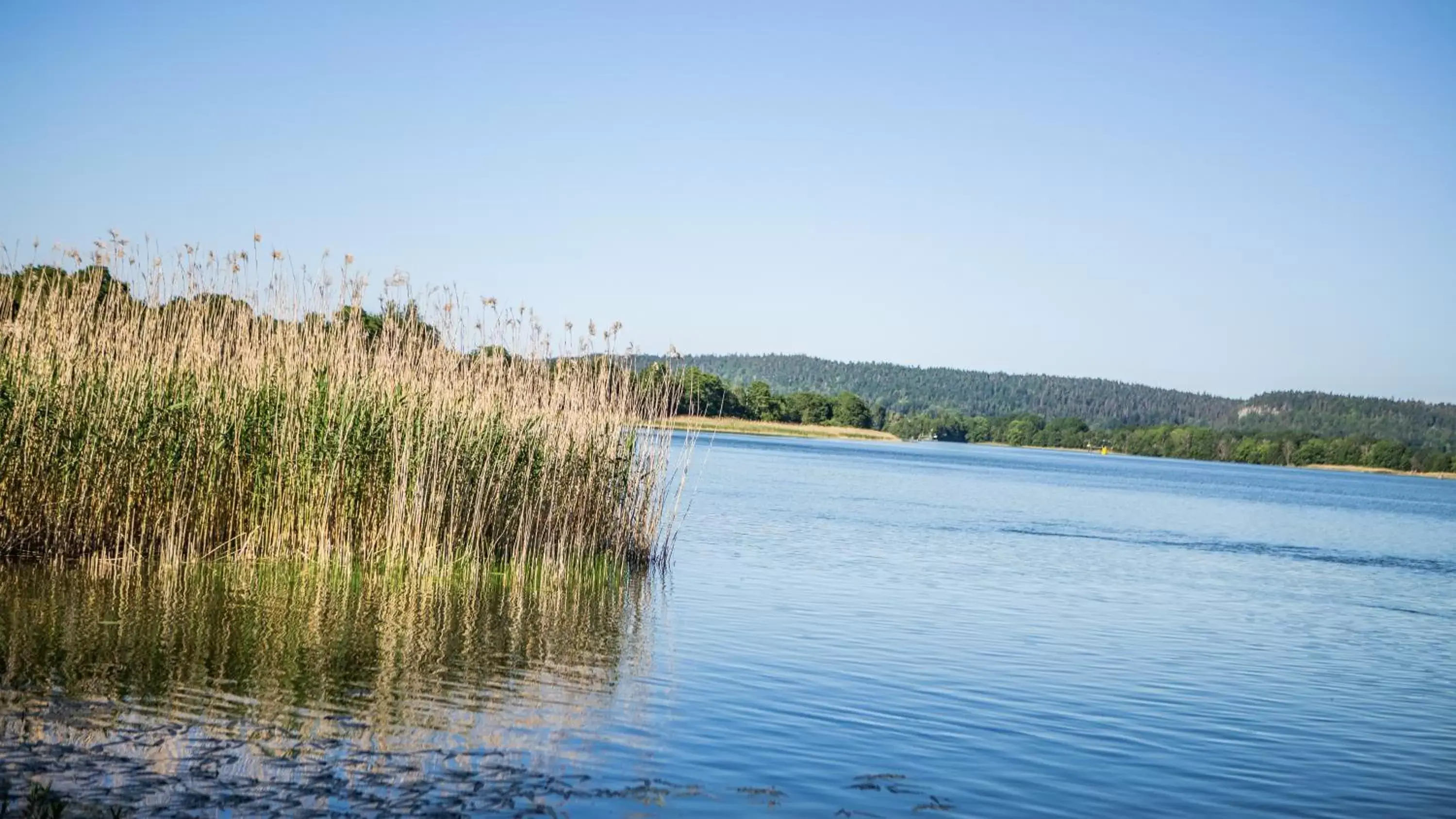 Natural landscape in Hotel Hehrne Kök & Konferens