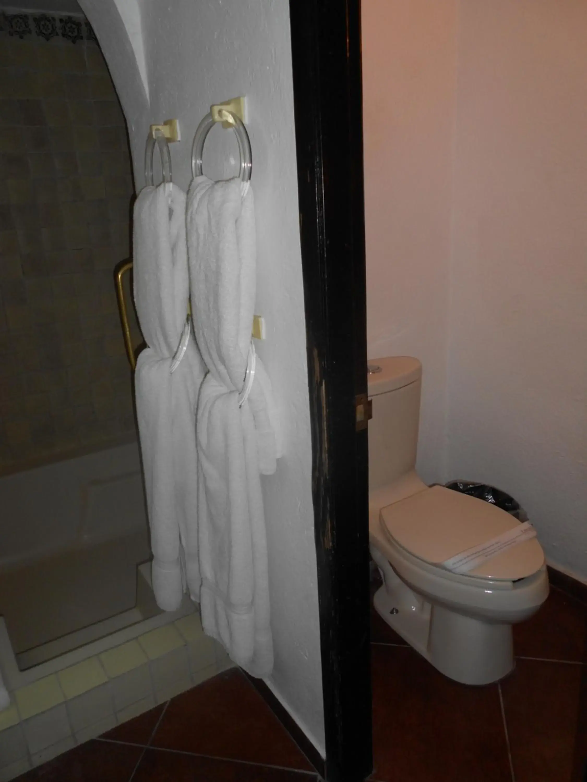 Toilet, Bathroom in Hotel Hacienda Taboada (Aguas Termales)