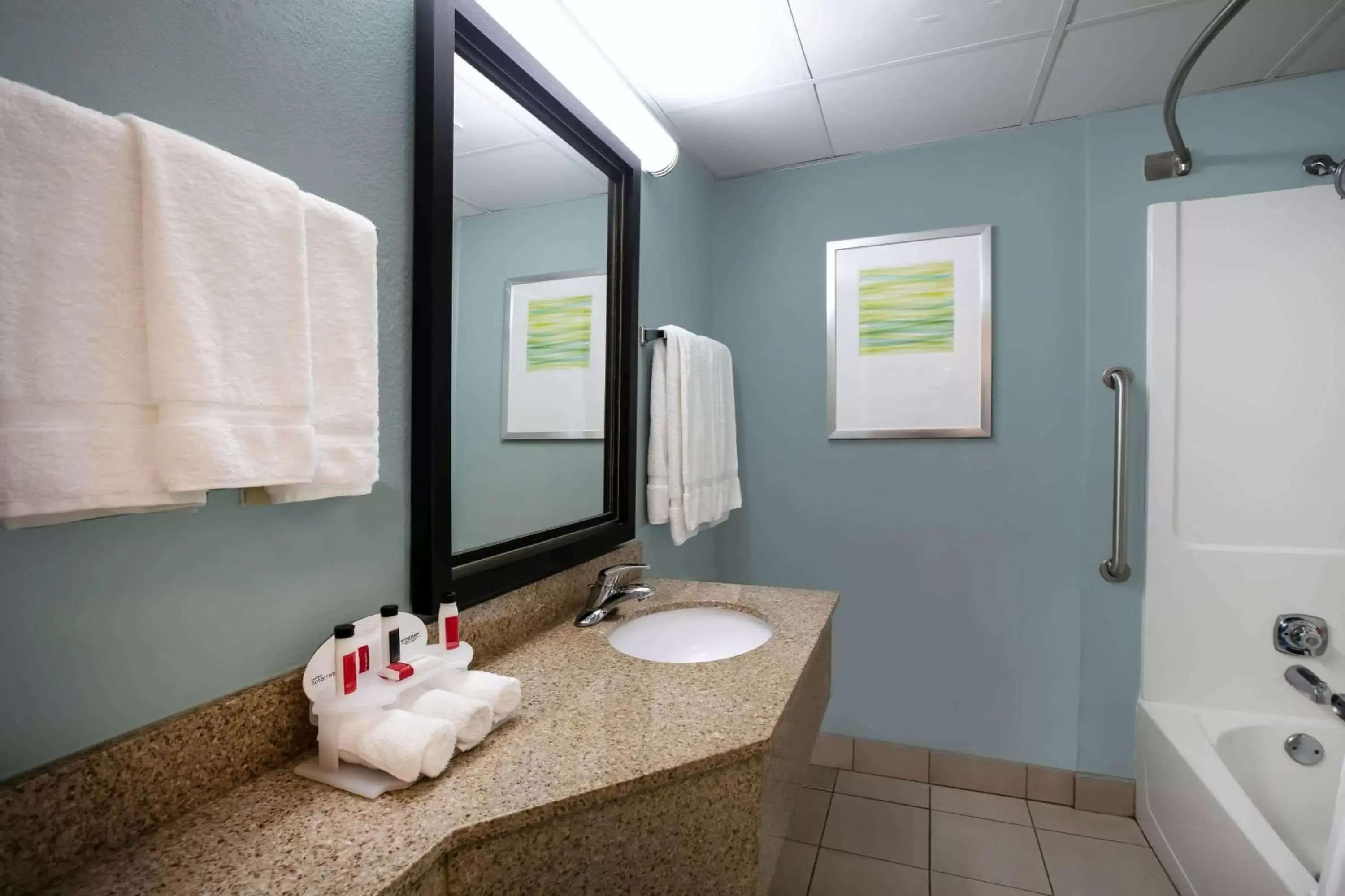 Bathroom in Baymont Inn & Suites Braselton