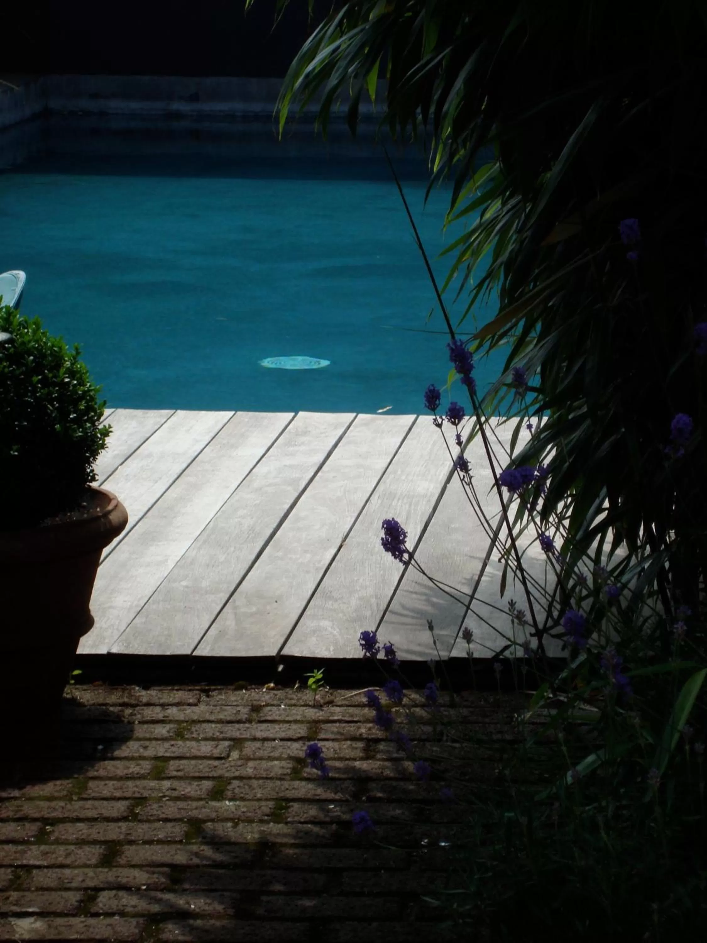 Swimming pool in B&B La Ruelle