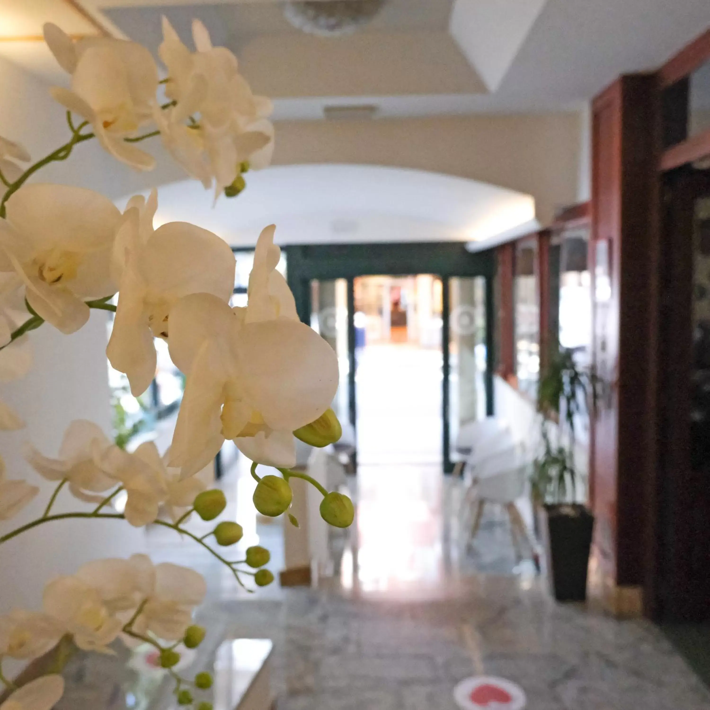 Lobby or reception in Hotel Marco Polo