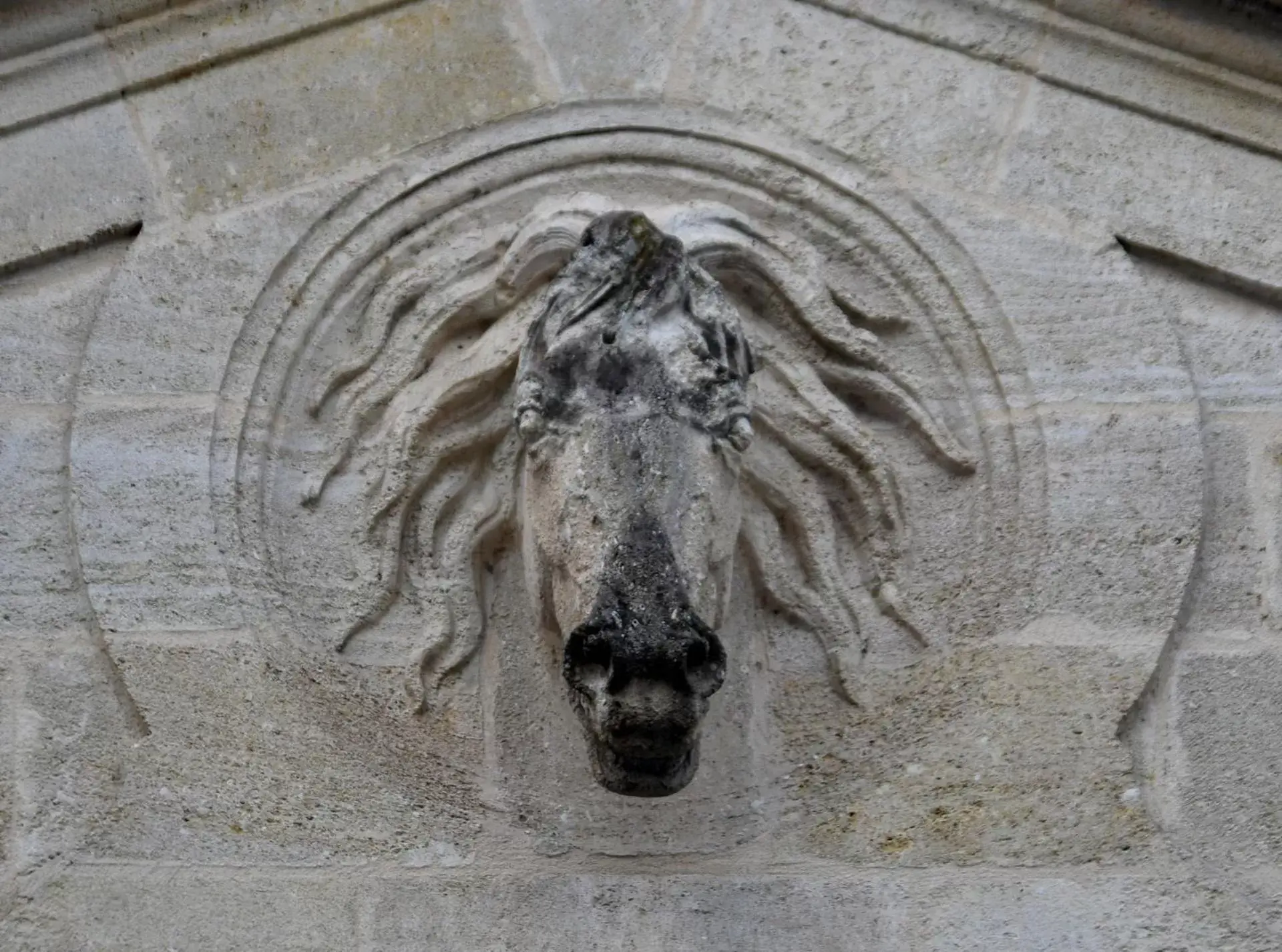 Property building, Other Animals in Hôtel La Maison Bord'eaux