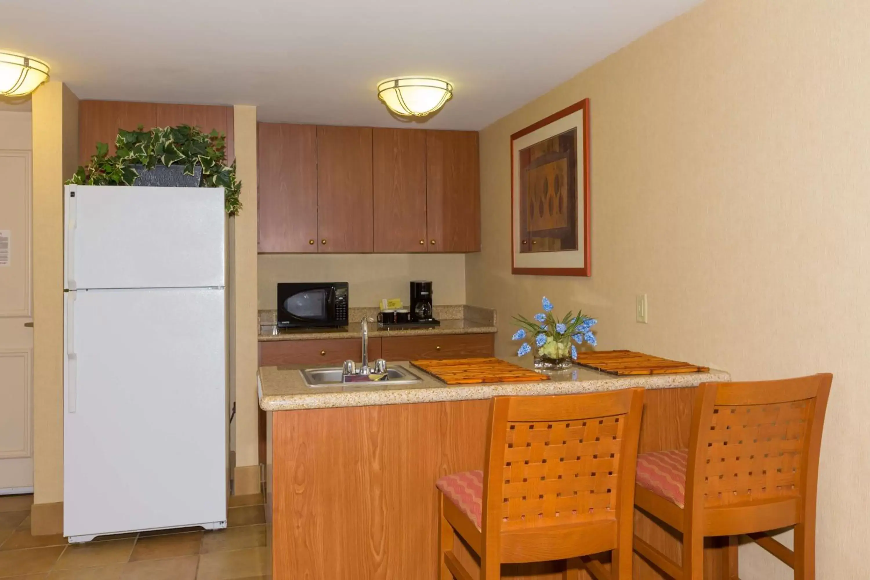 Bed, Kitchen/Kitchenette in Hilton Garden Inn Buffalo Airport