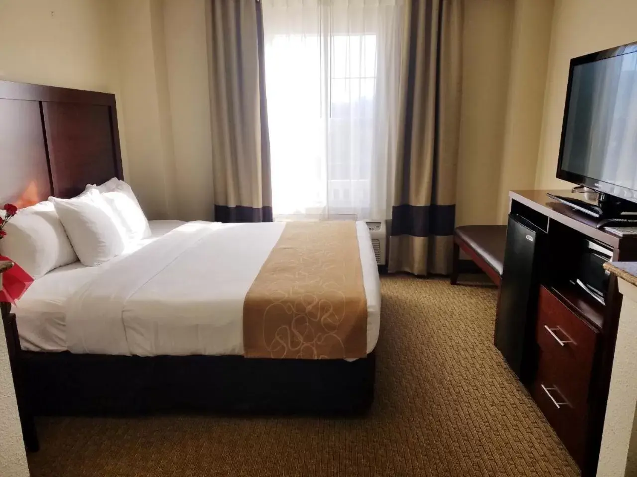 Bed in Comfort Suites Las Colinas Center