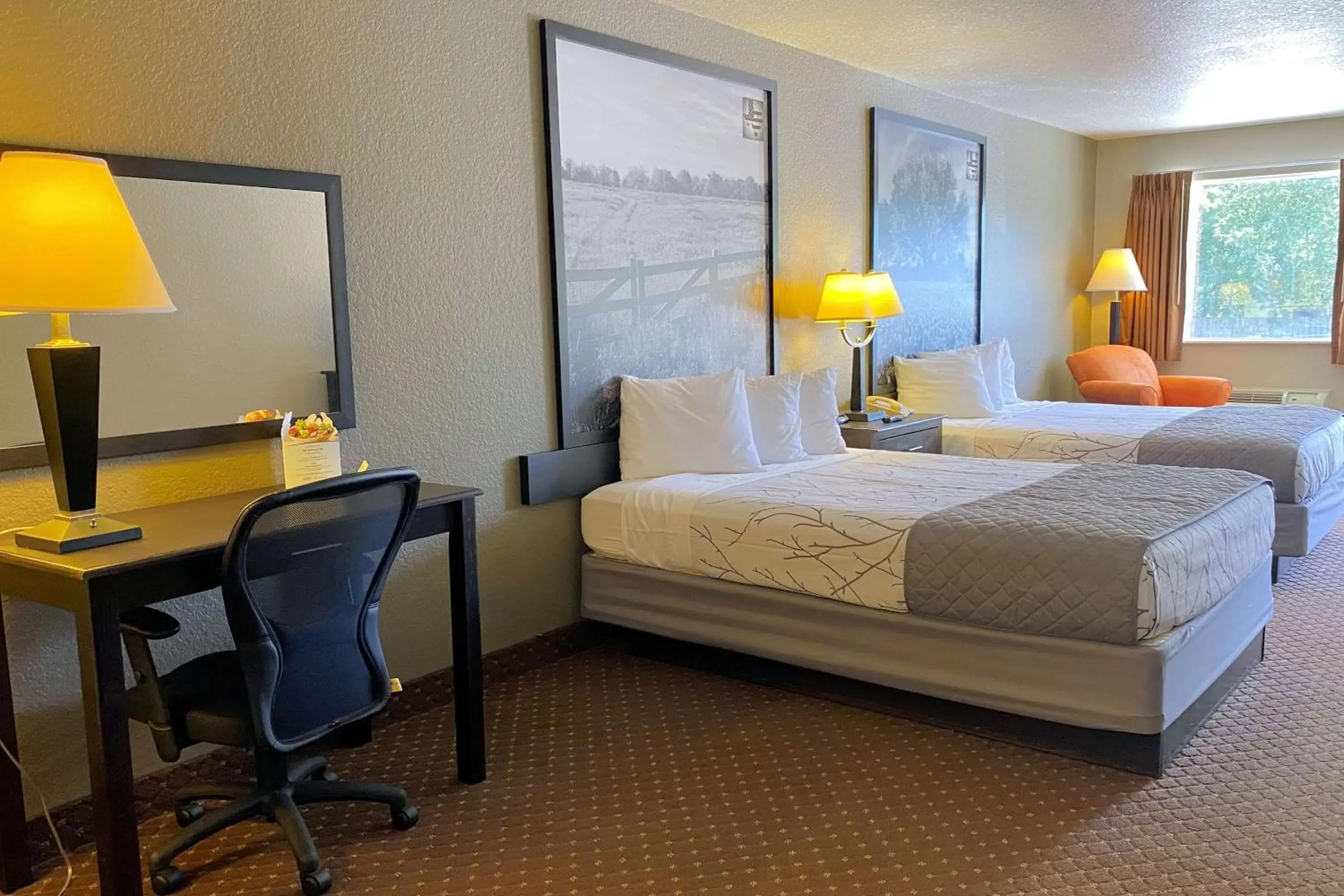 Photo of the whole room, Bed in SureStay Hotel by Best Western New Braunfels