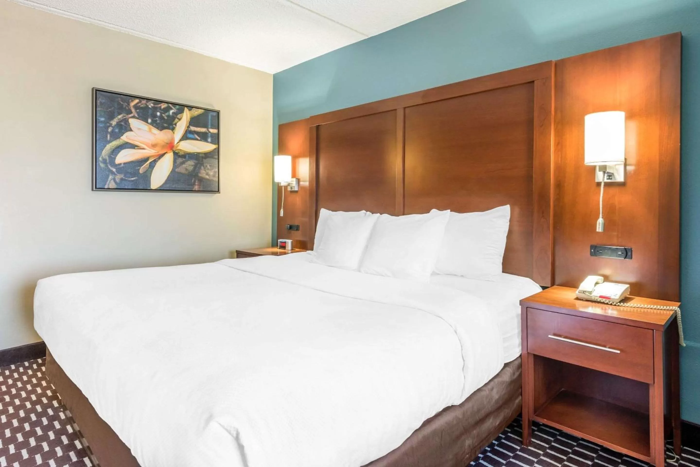 King Suite with Roll-In Shower - Accessible/Non-Smoking in Villa Victor, Ascend Hotel Collection