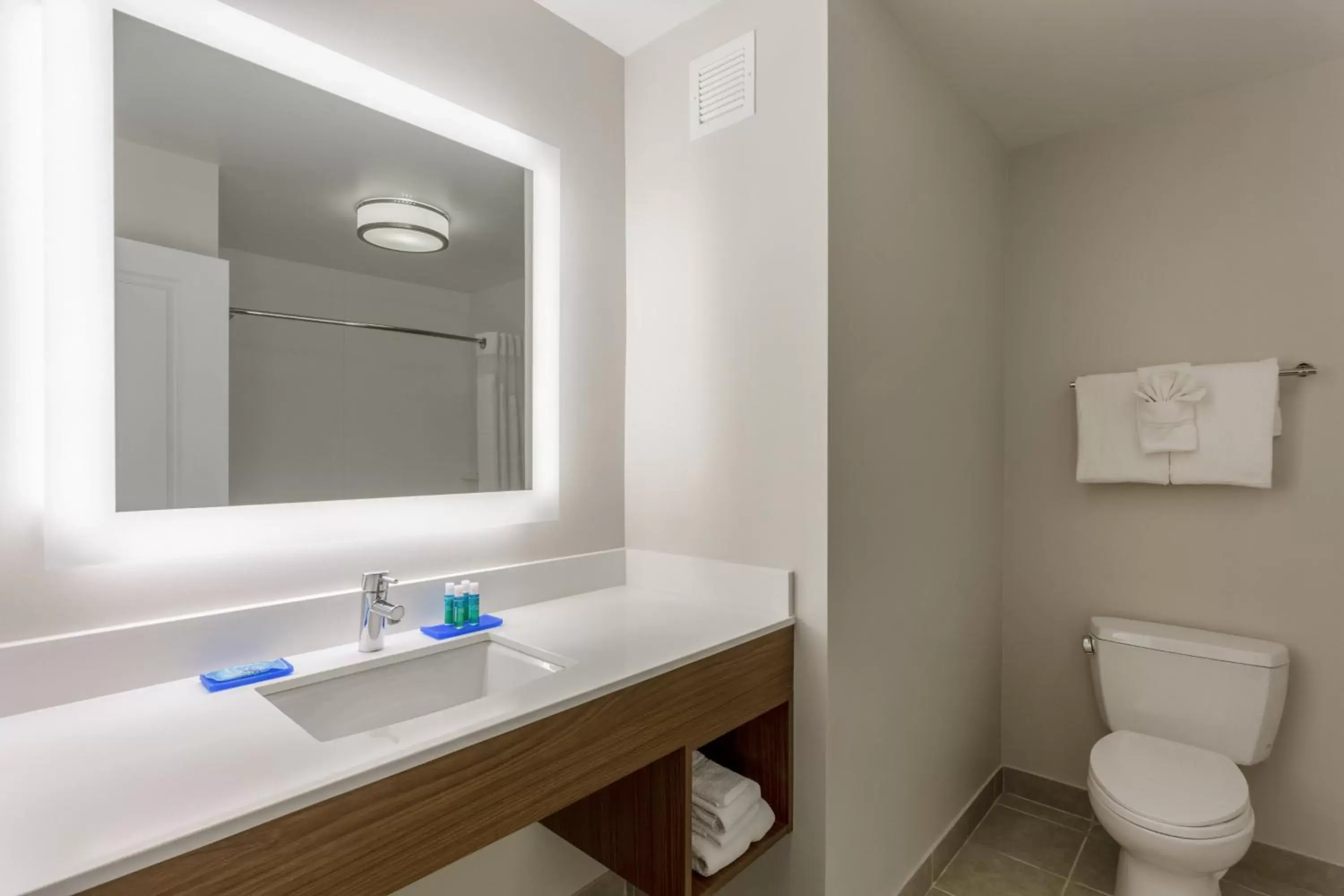 Photo of the whole room, Bathroom in Holiday Inn Express & Suites Vandalia, an IHG Hotel