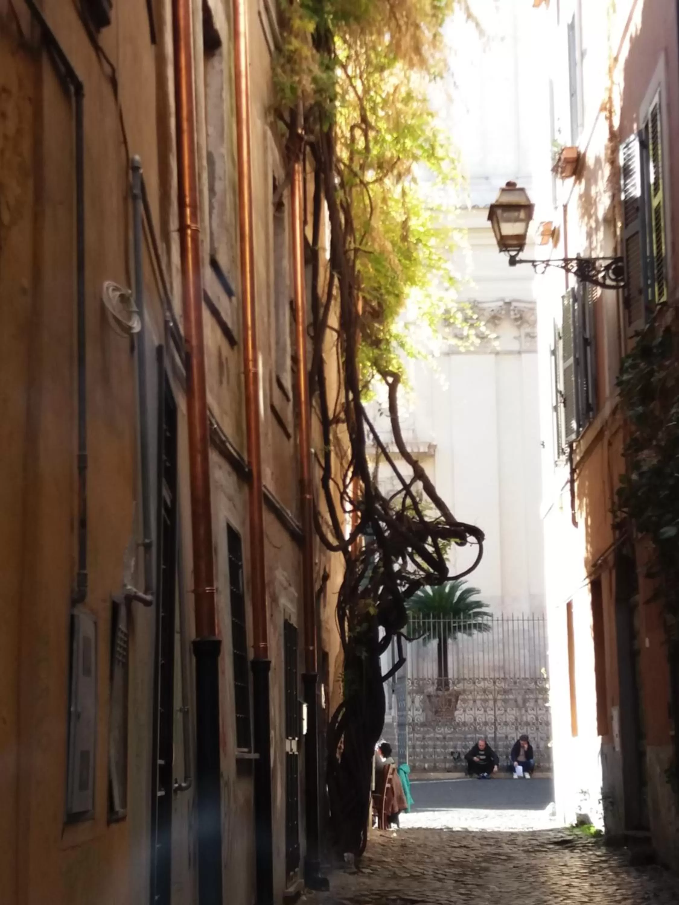 Neighbourhood in B&B Ventisei Scalini A Trastevere