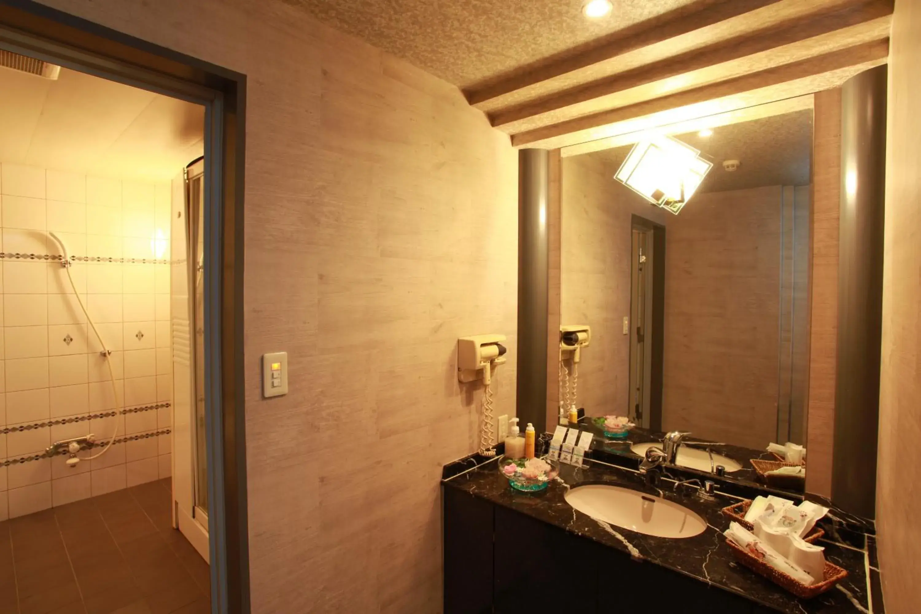 Bathroom in Hotel Sasarindou