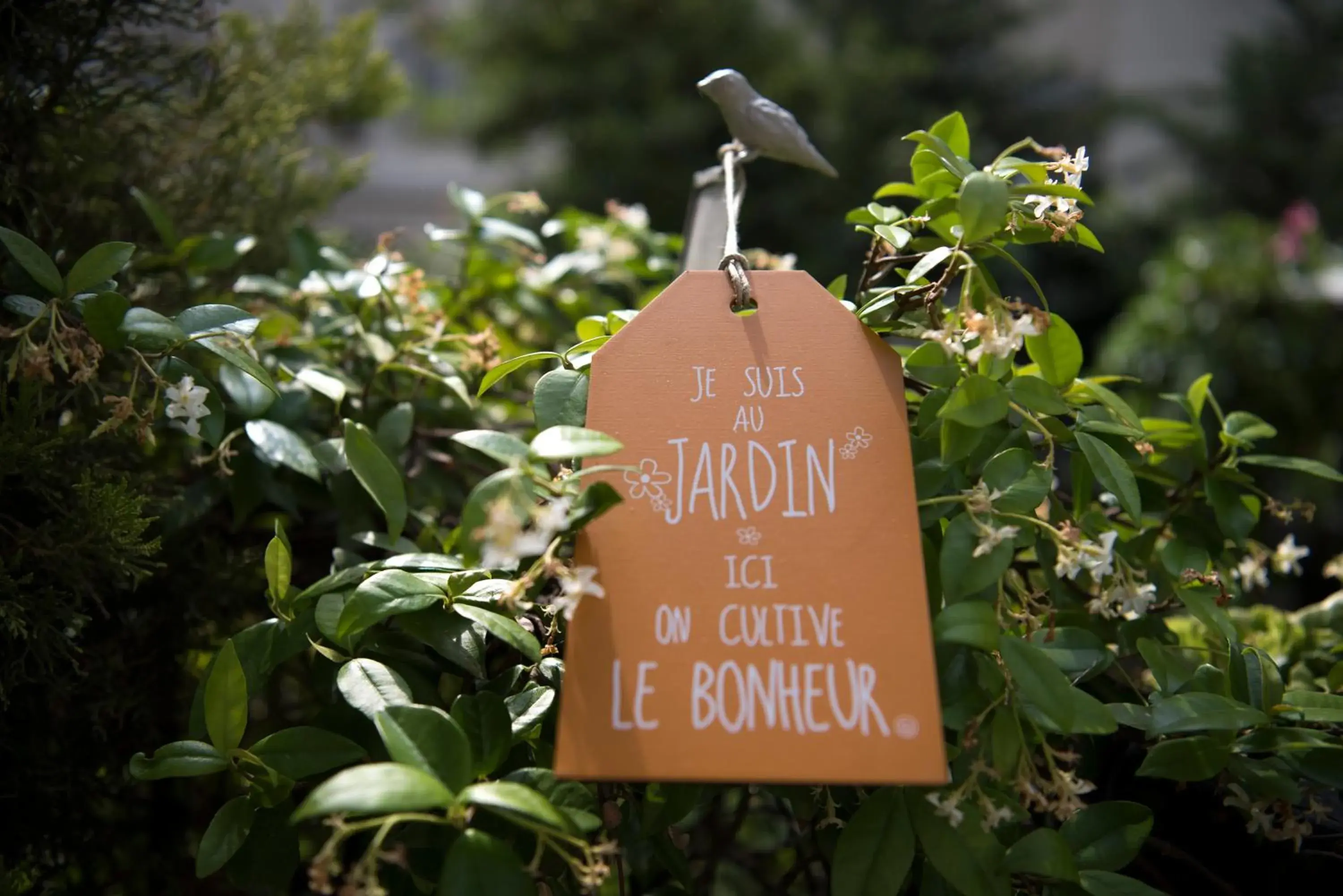 Garden in Hotel Villa Rivoli