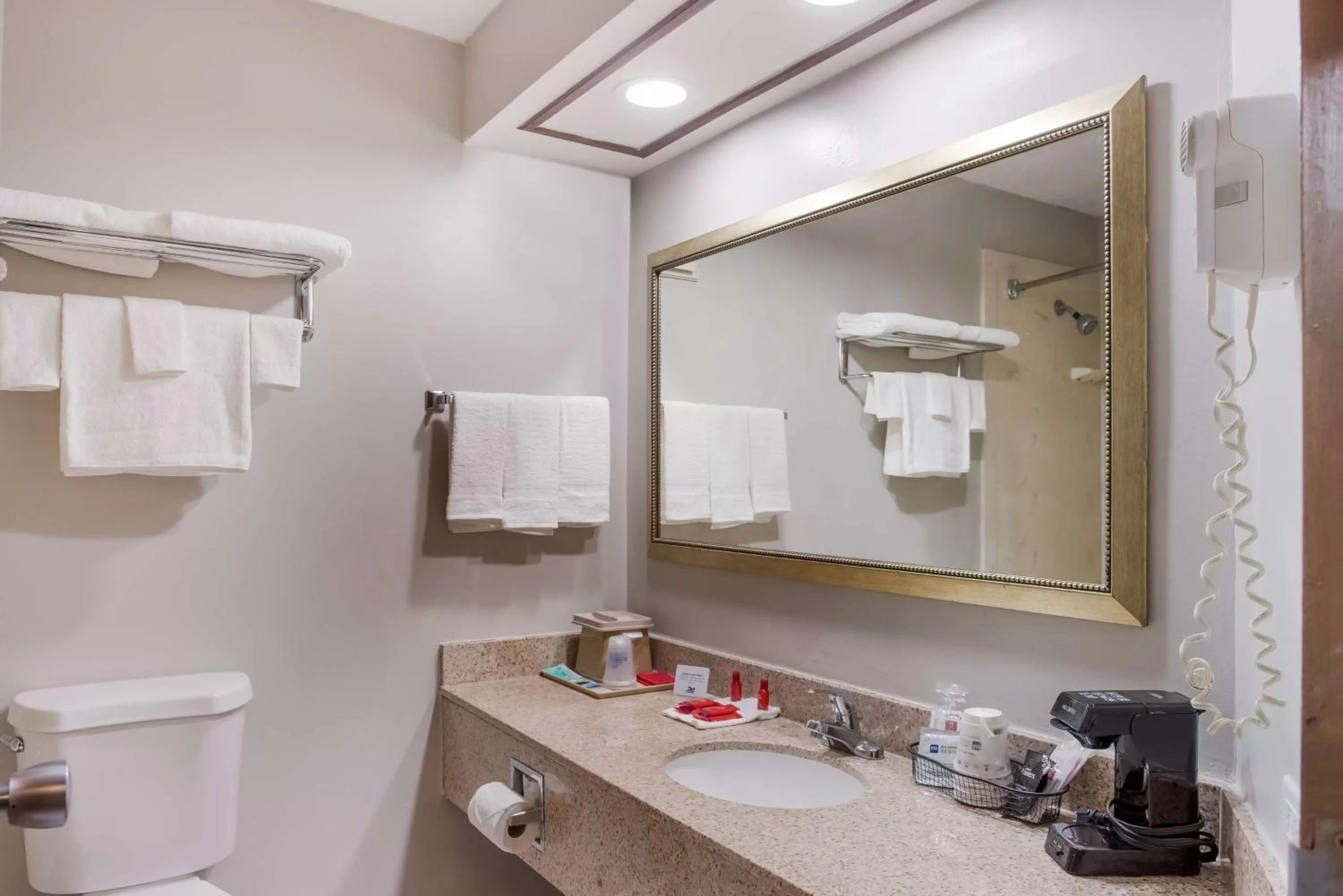 Bathroom in SureStay Plus Hotel by Best Western Greenwood