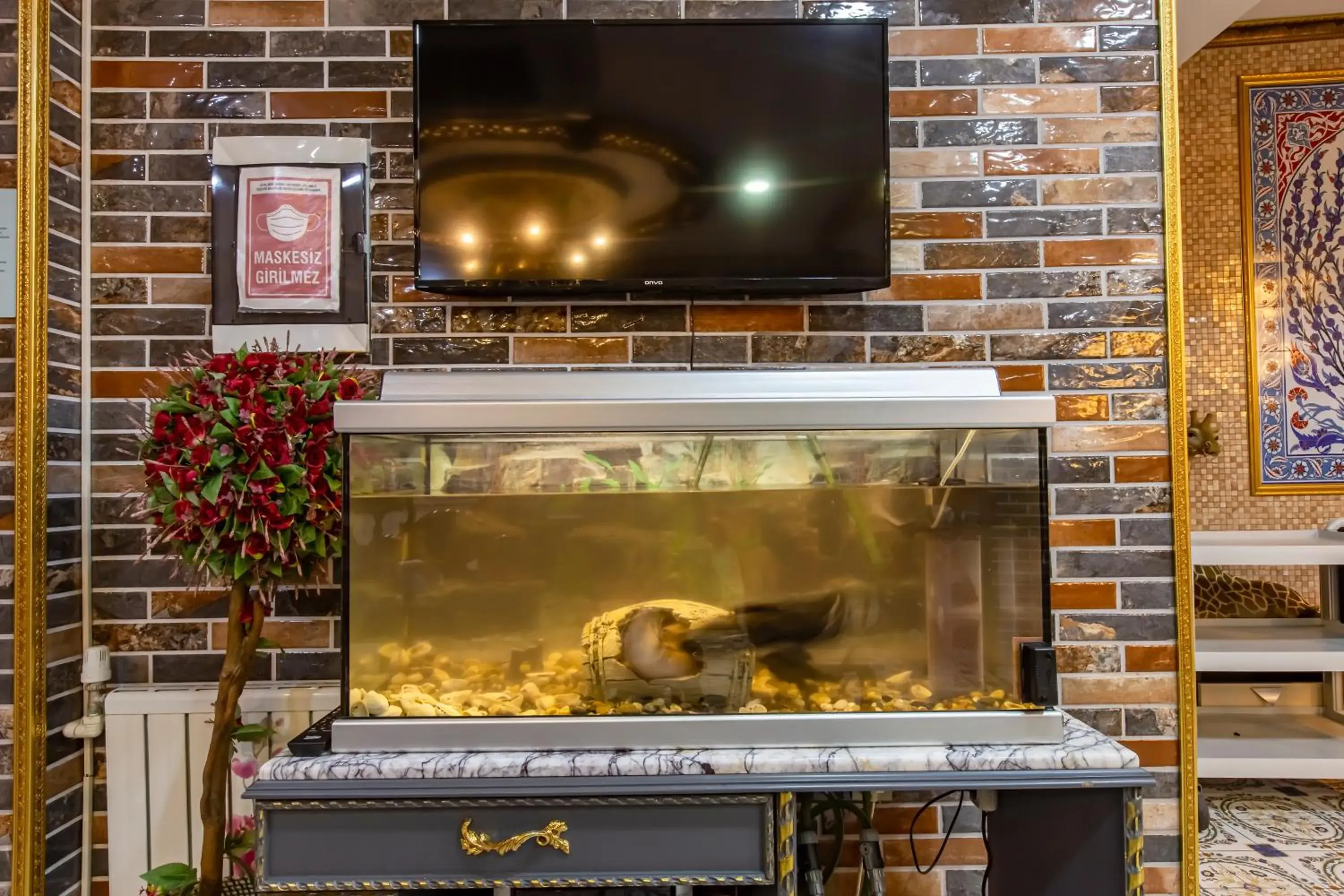 Animals, BBQ Facilities in Laleli Blue Marmaray Hotel