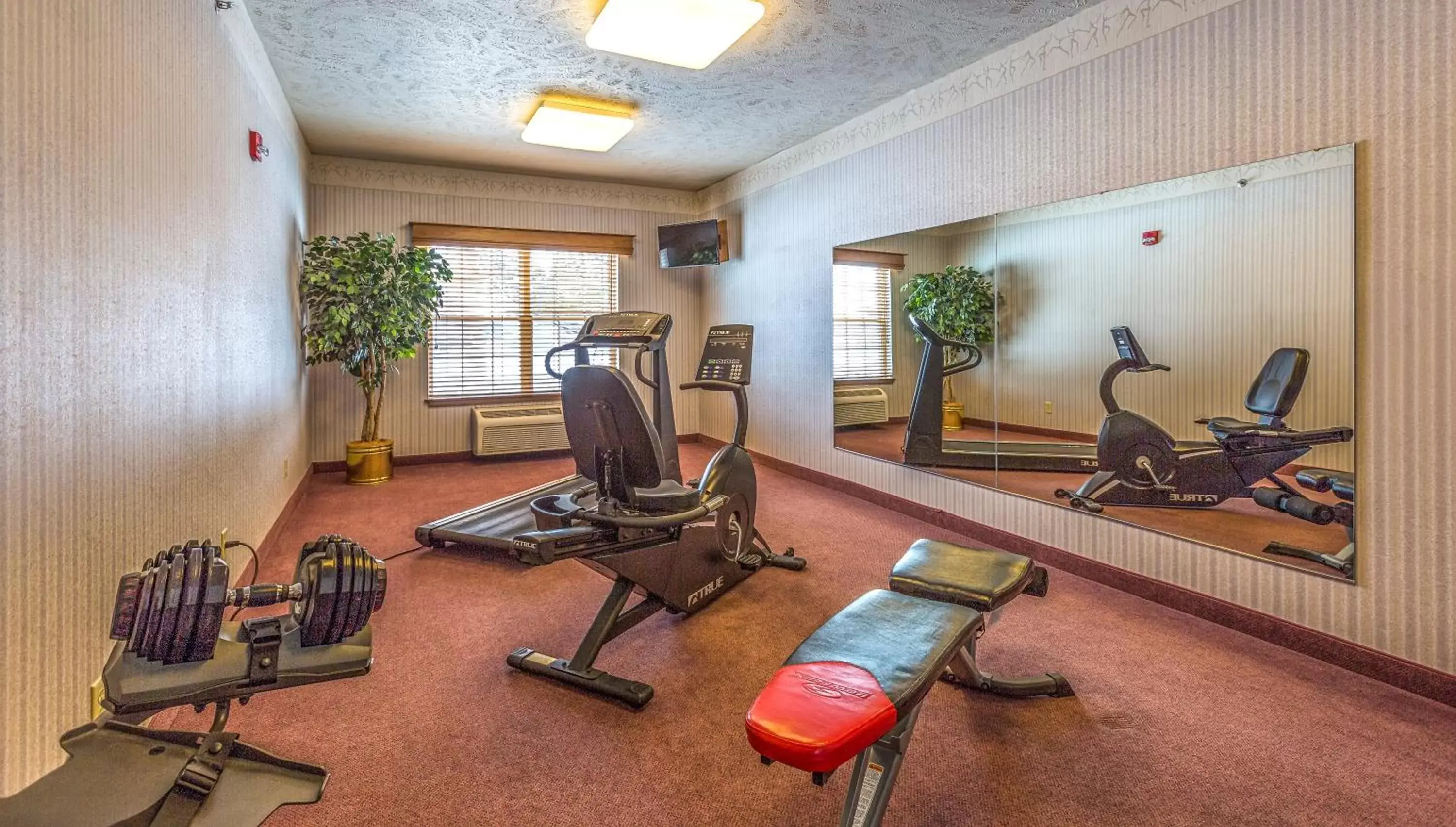 Fitness centre/facilities, Fitness Center/Facilities in Van Buren Hotel