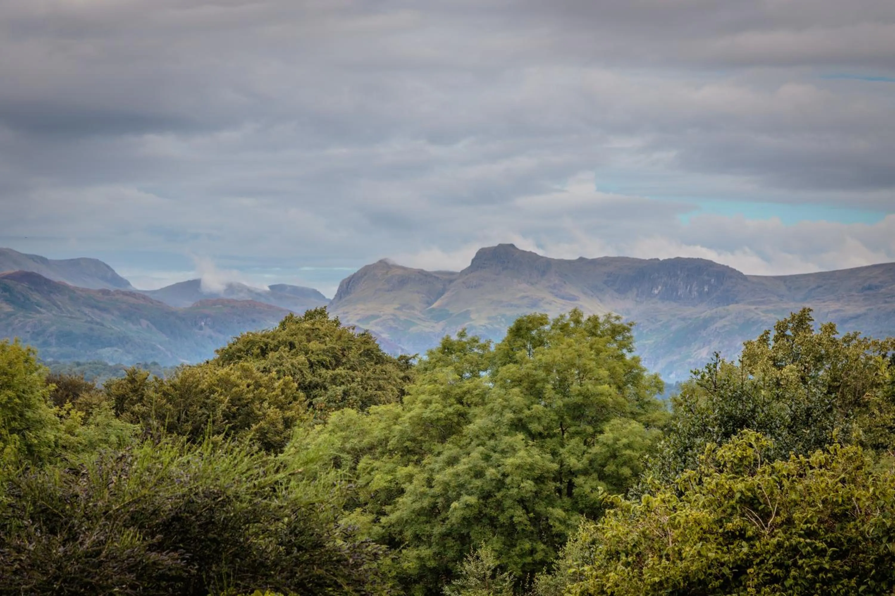 Garden view in Cragwood Country House Hotel