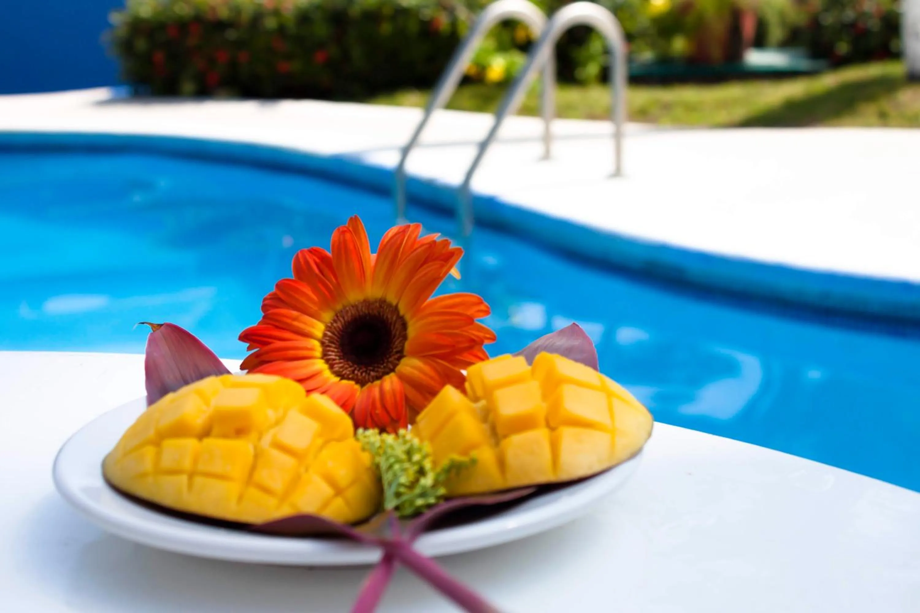 Solarium in Coral Clubes Acapulco