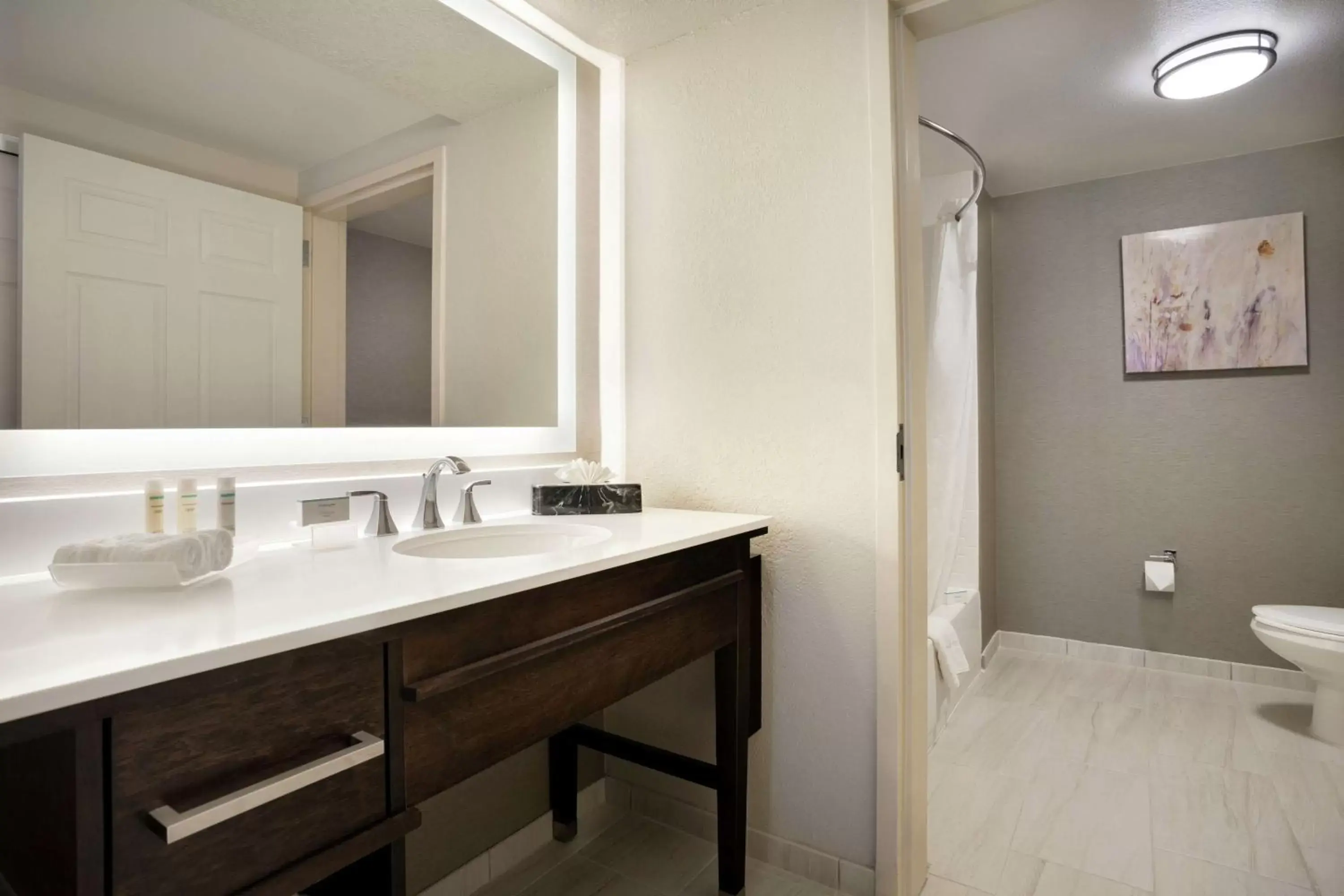 Bathroom in Homewood Suites by Hilton Phoenix-Chandler