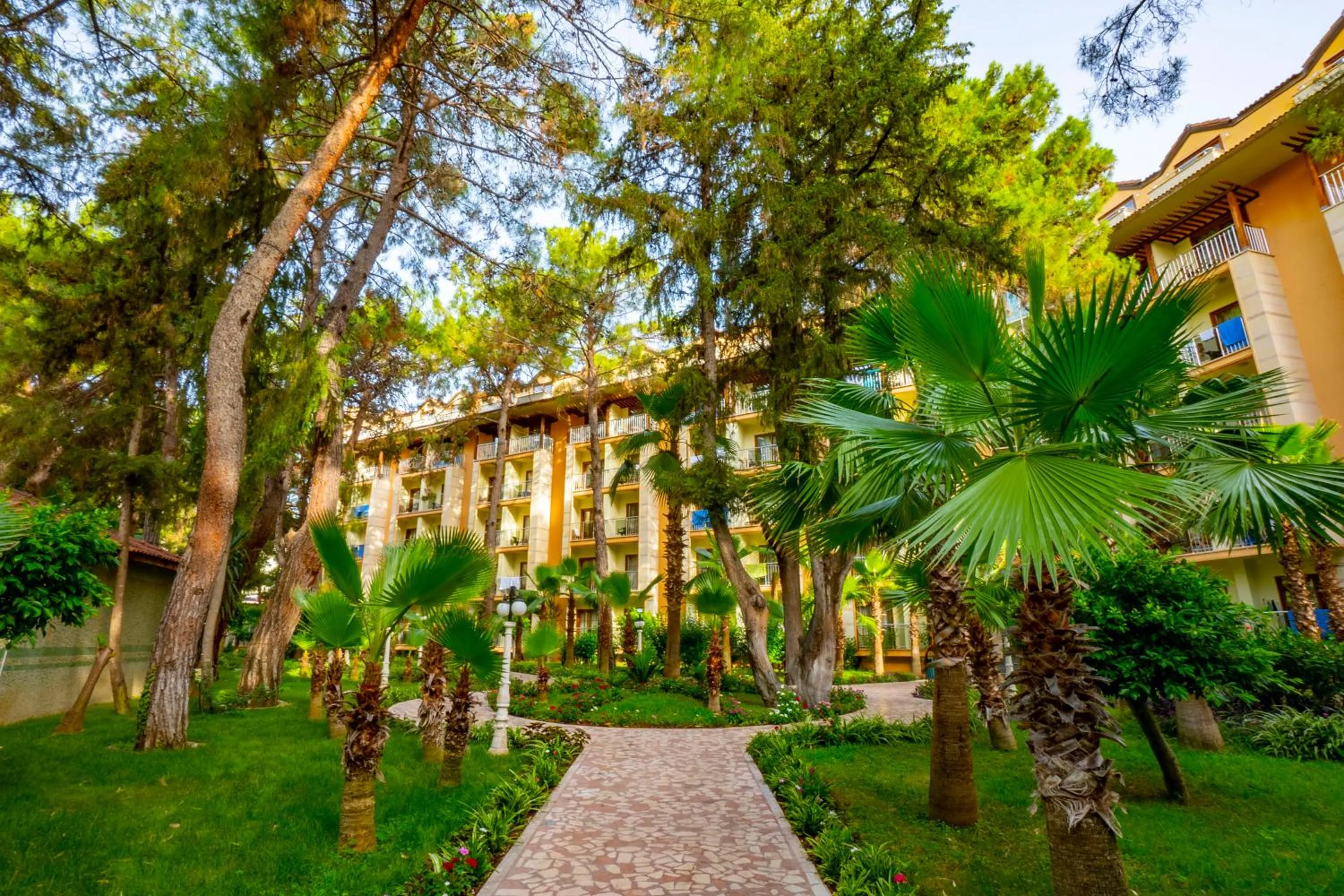 Garden in Armas Kaplan Paradise