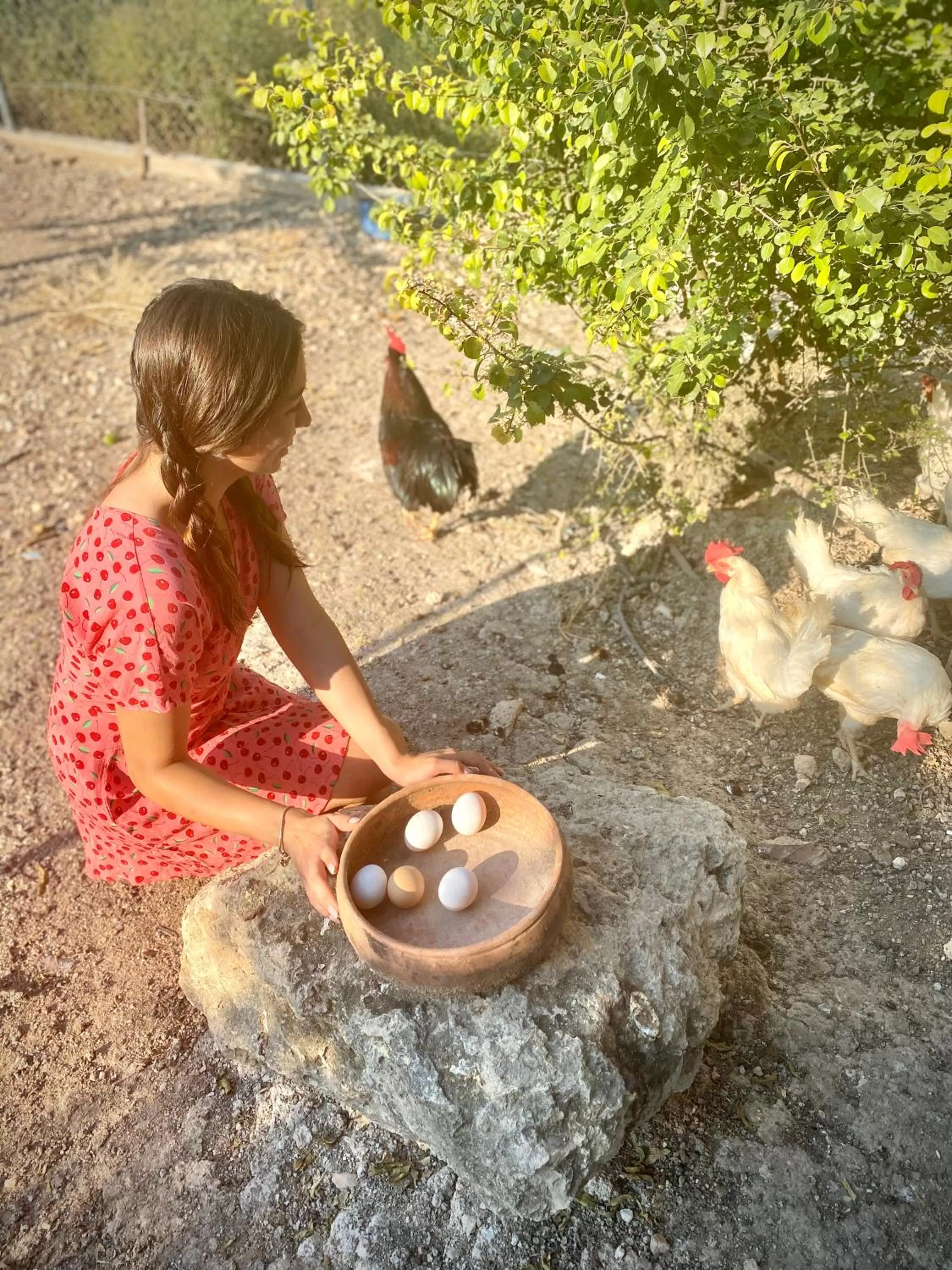 Activities in Alaçatı Barbarossa Hotel
