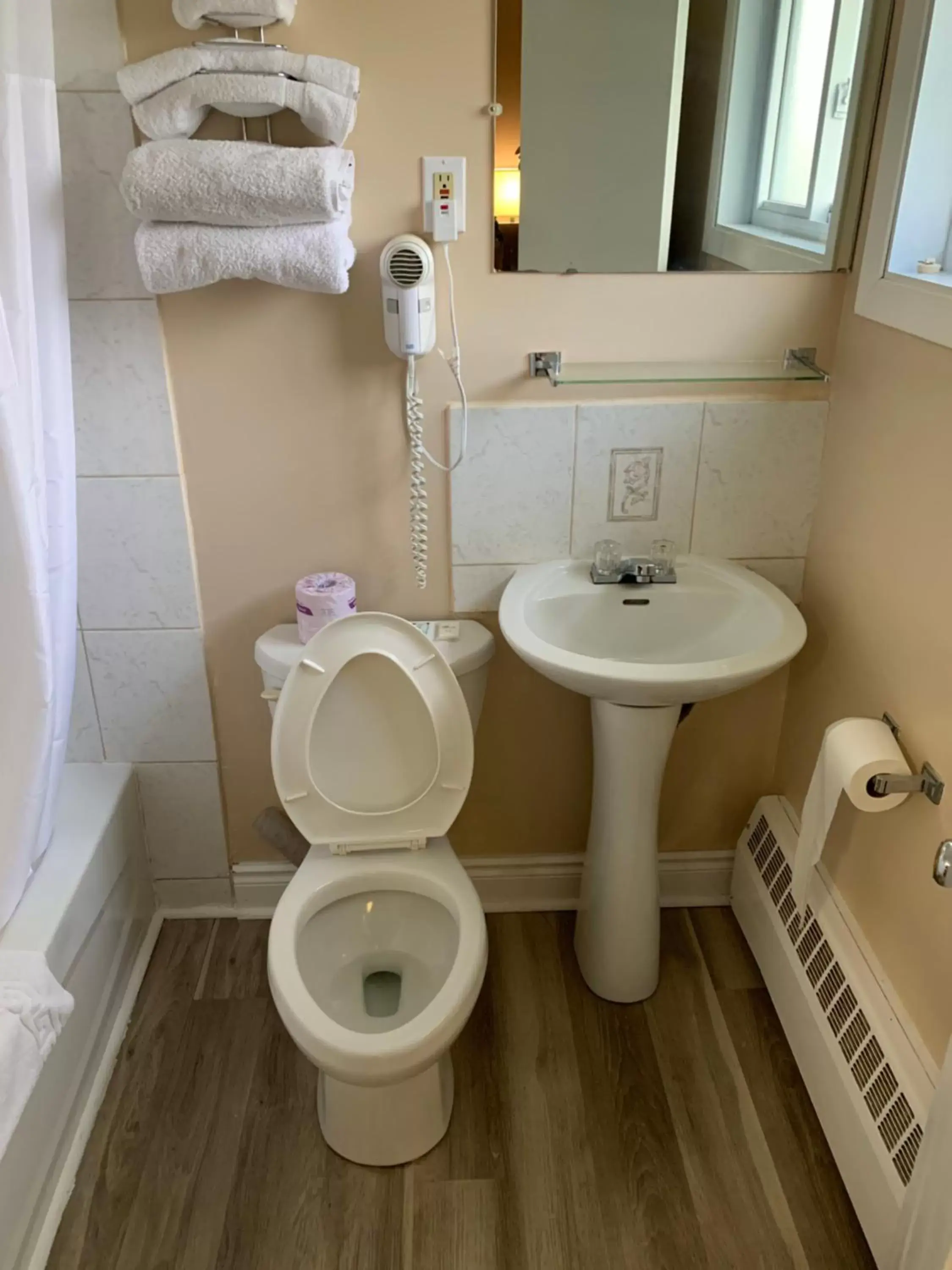 Bathroom in Rogers Motel