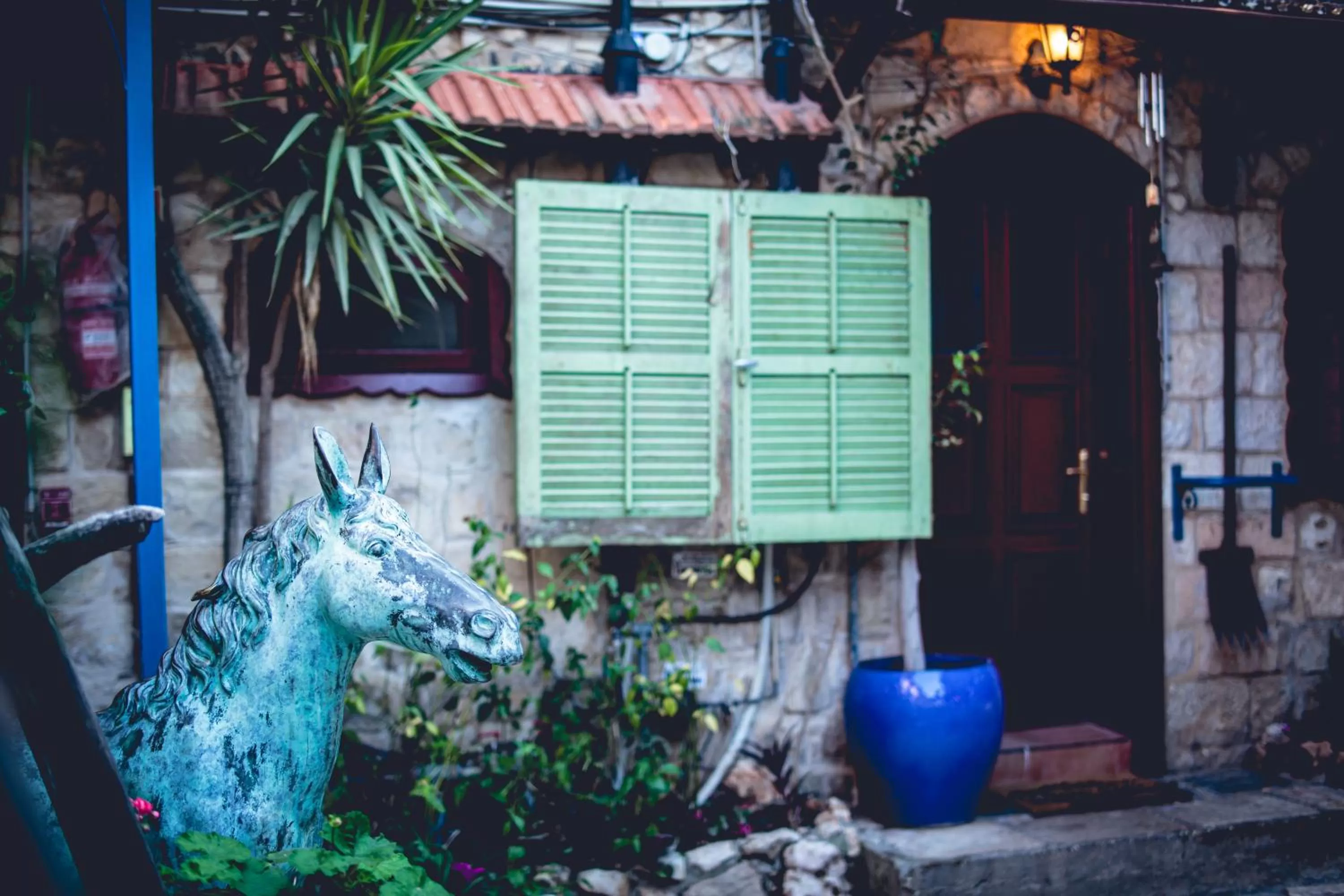 Day in וילה תהילה המחודש - The new Villa Tehila