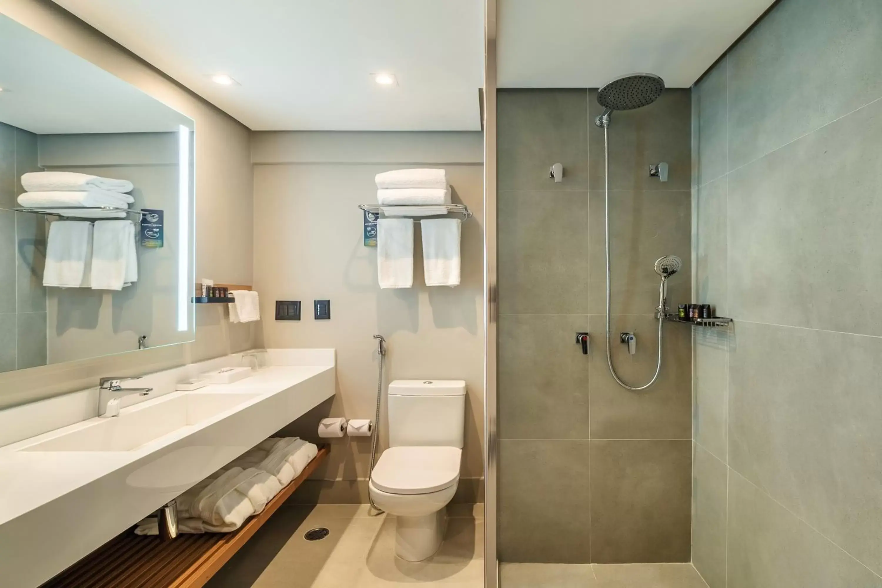 Shower, Bathroom in Grand Mercure SP Itaim Bibi