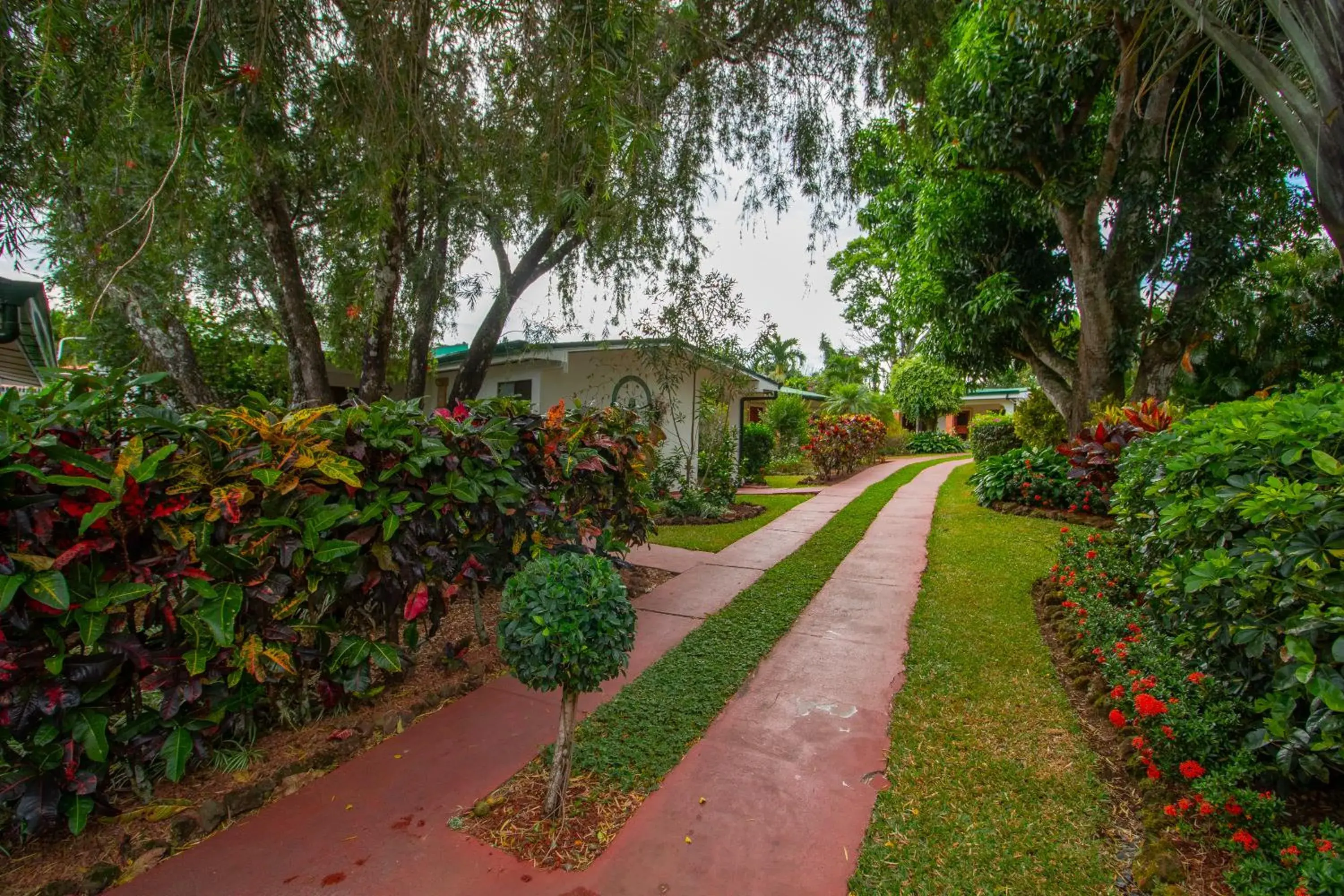 Garden in Hotel La Rosa de America