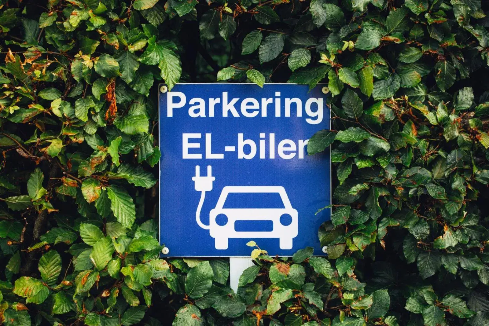 Parking in Milling Hotel Park