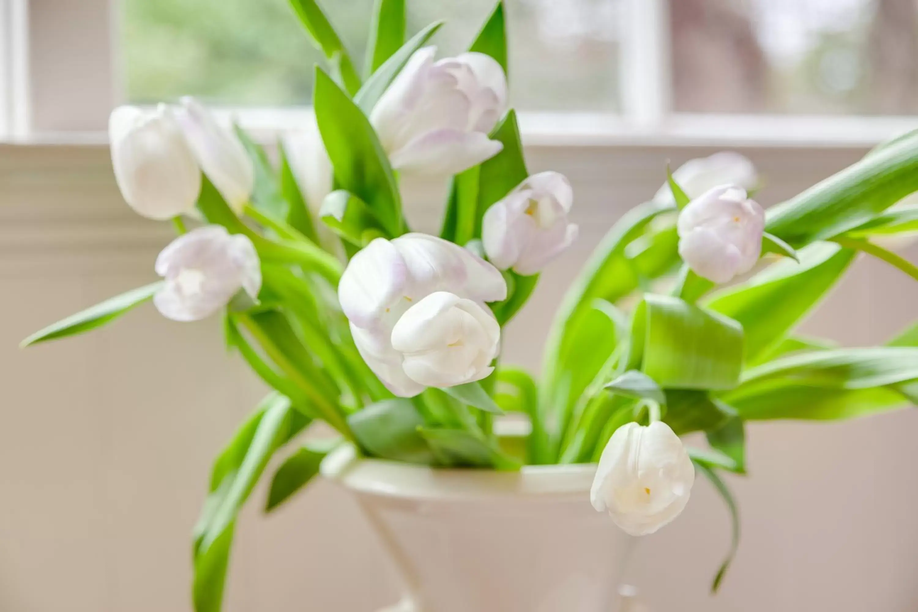 Queen Room in Fairholme Manor Inn Queen Room in Fairholme Manor Inn