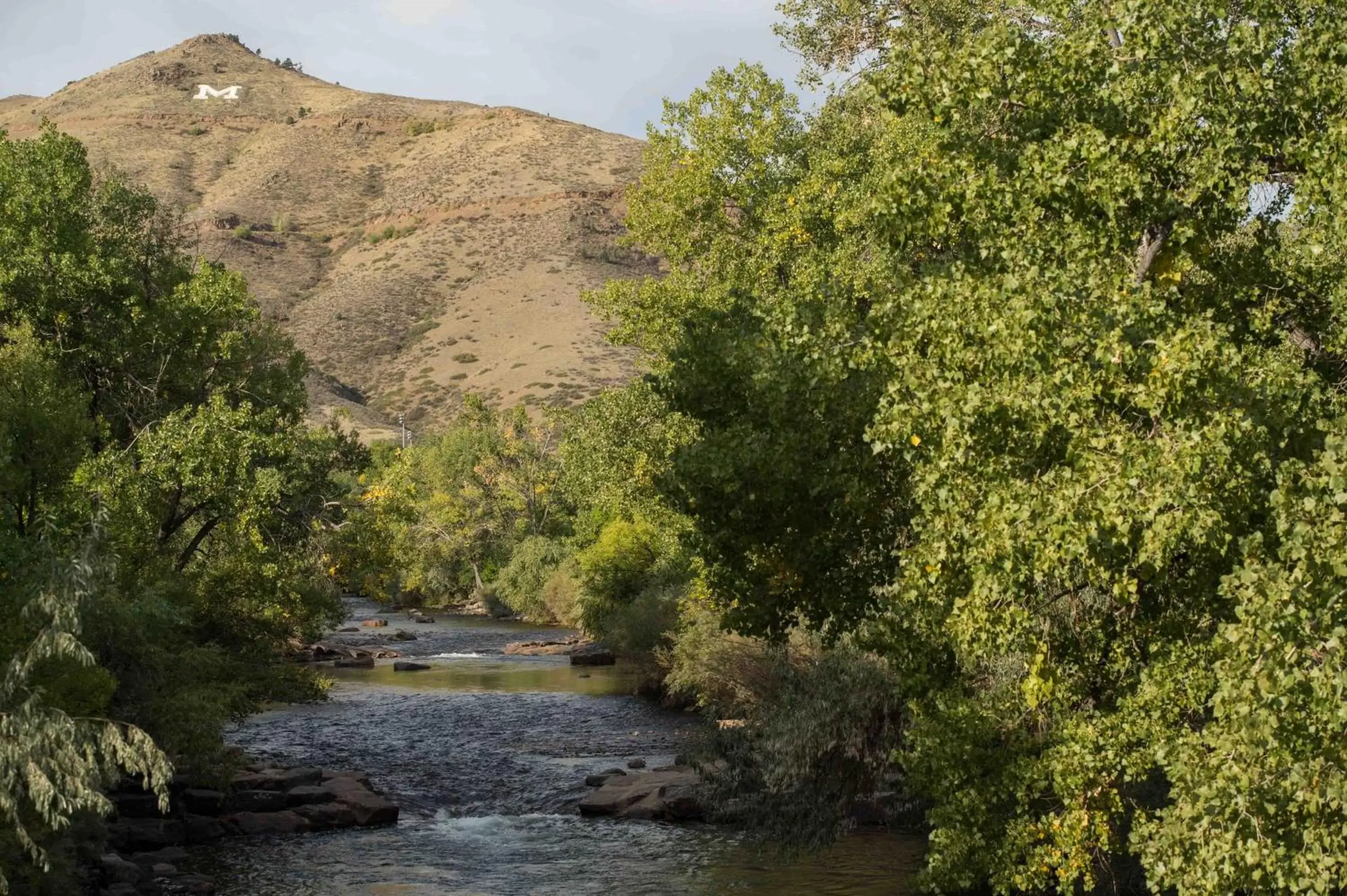 Natural landscape in Table Mountain Inn