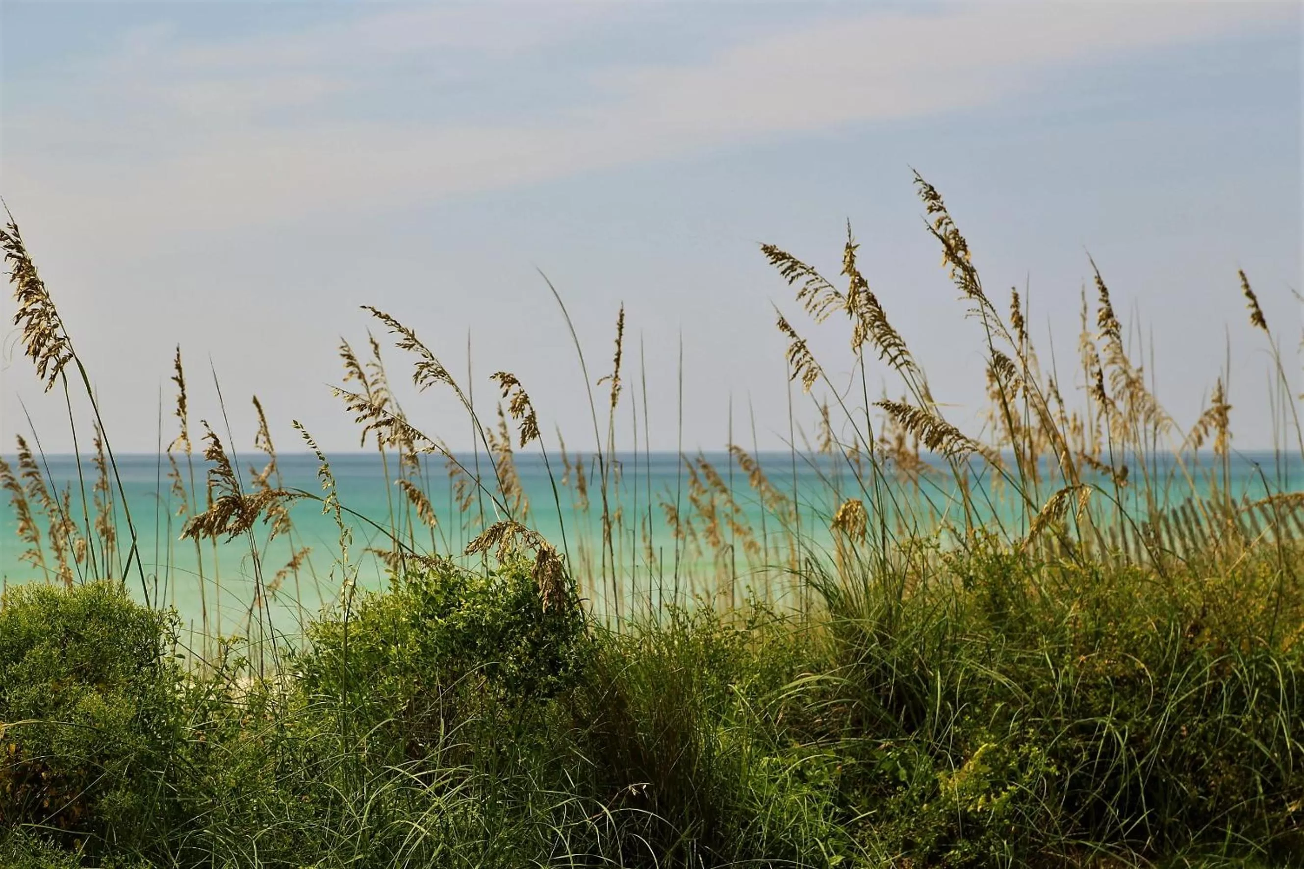 Natural landscape in Henderson Beach Resort