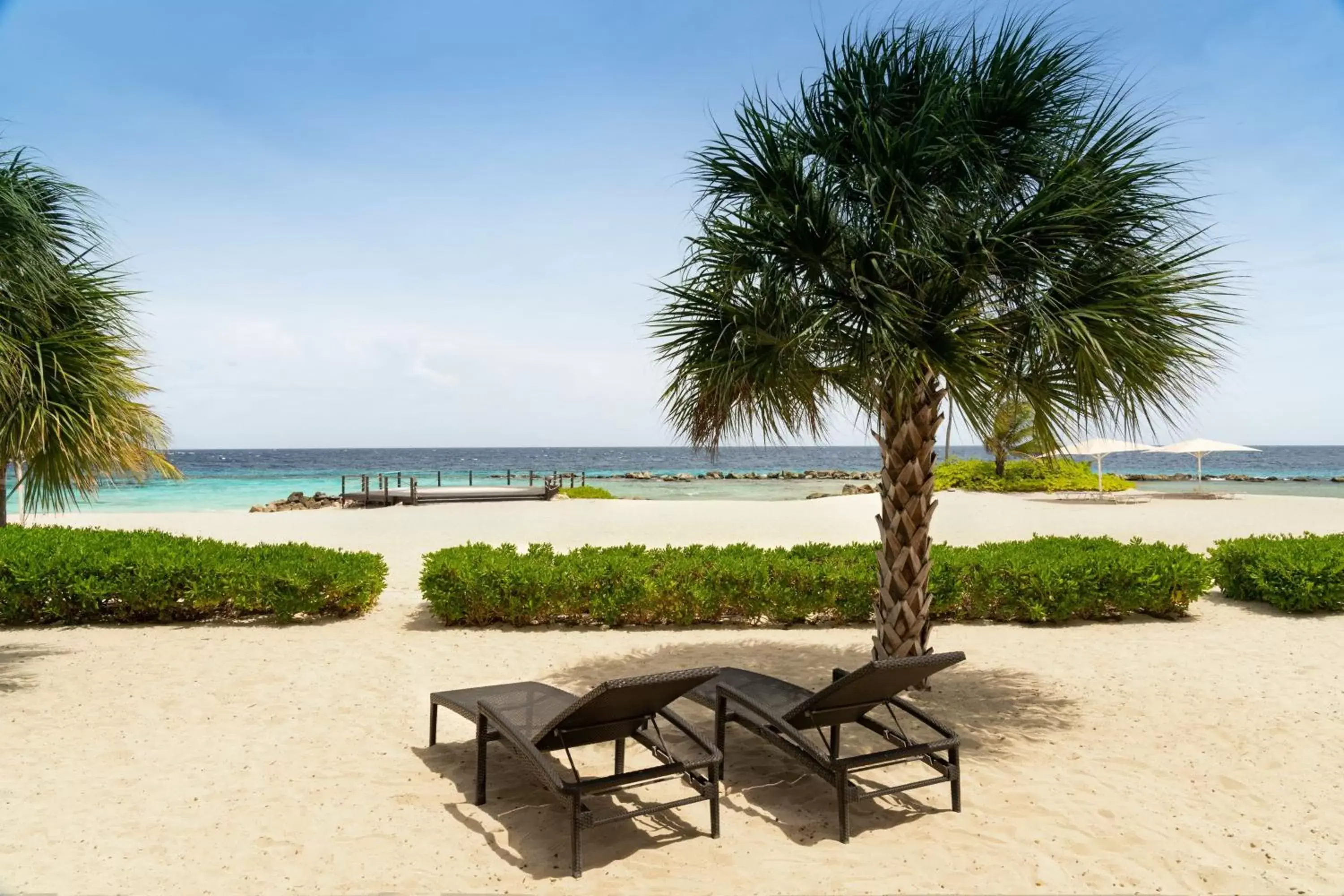 Photo of the whole room in Curaçao Marriott Beach Resort