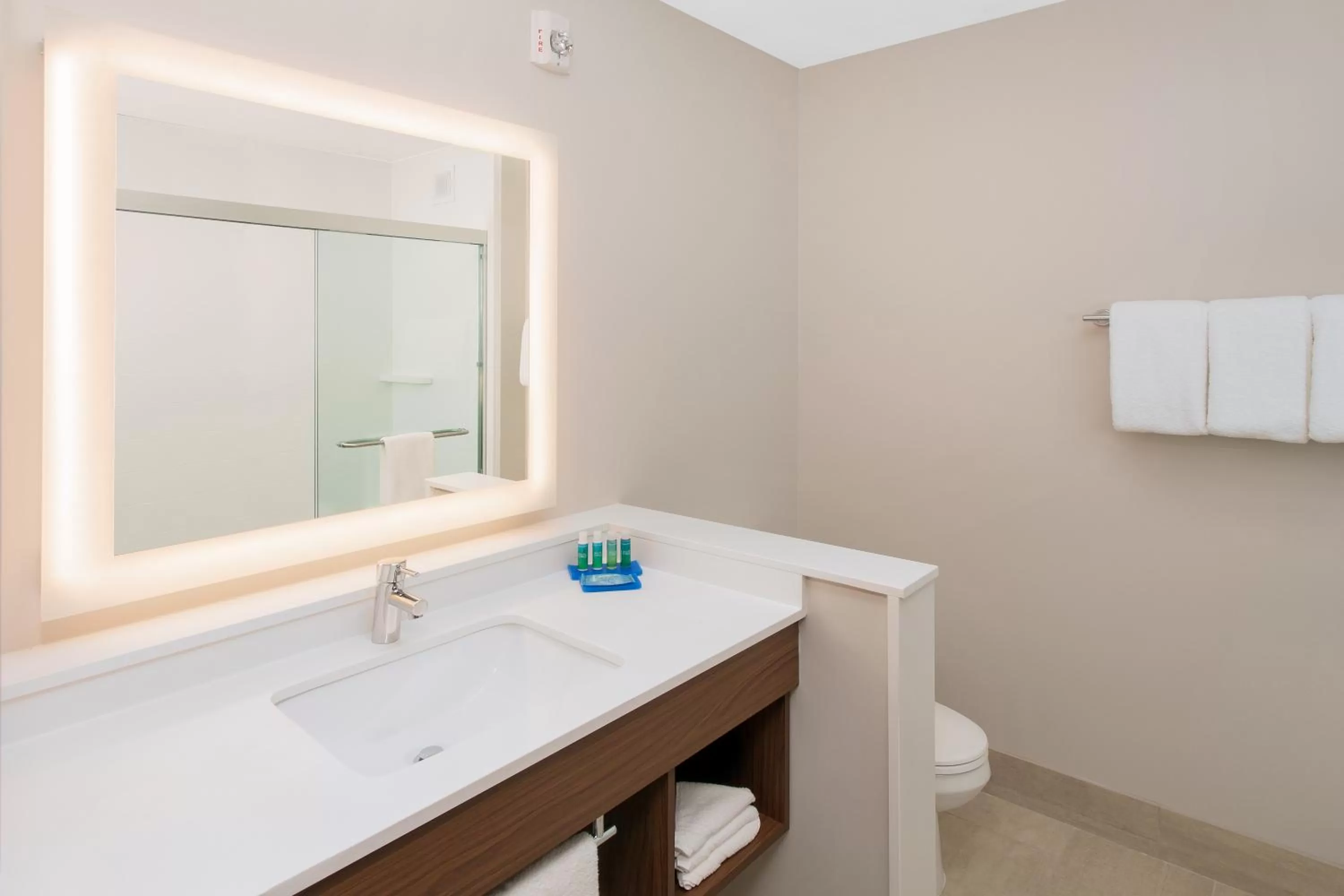 Bathroom in Holiday Inn Express & Suites - Sterling Heights-Detroit Area by IHG