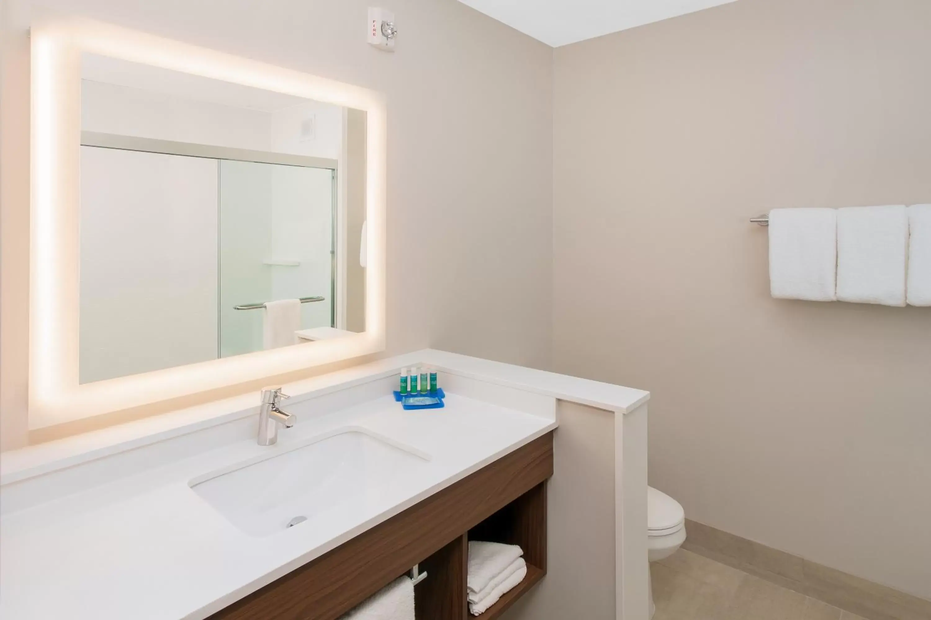 Bathroom in Holiday Inn Express & Suites - Sterling Heights-Detroit Area, an IHG Hotel