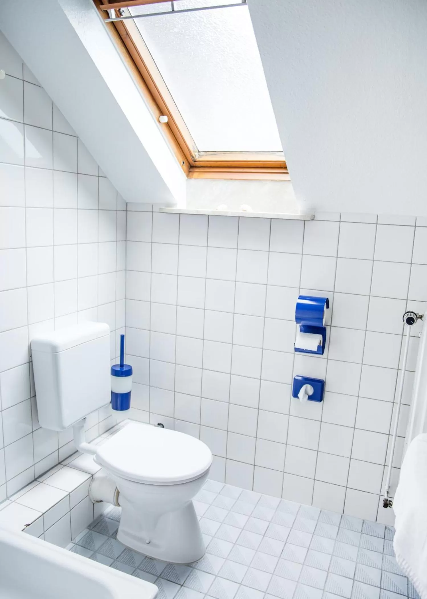 Toilet in Hotel Tum Stüürmann