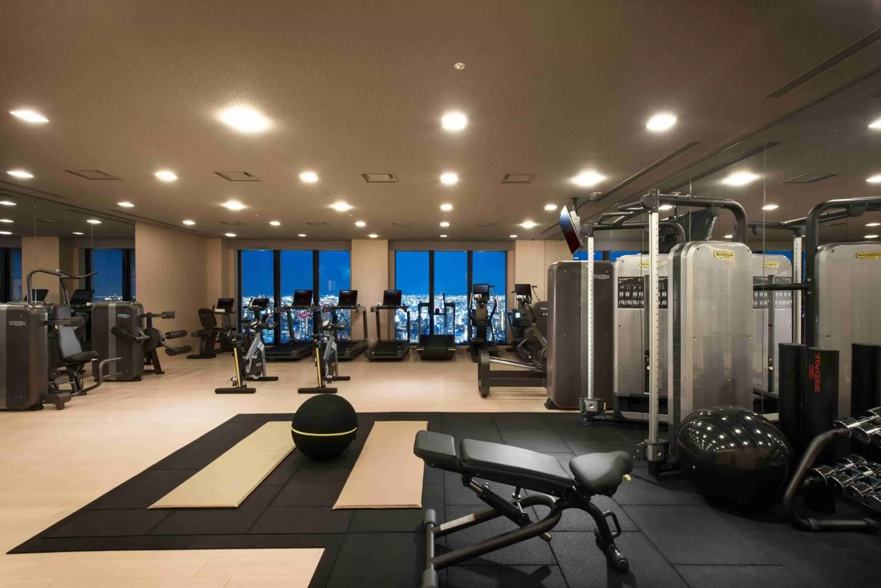 Fitness centre/facilities, Fitness Center/Facilities in Conrad Osaka