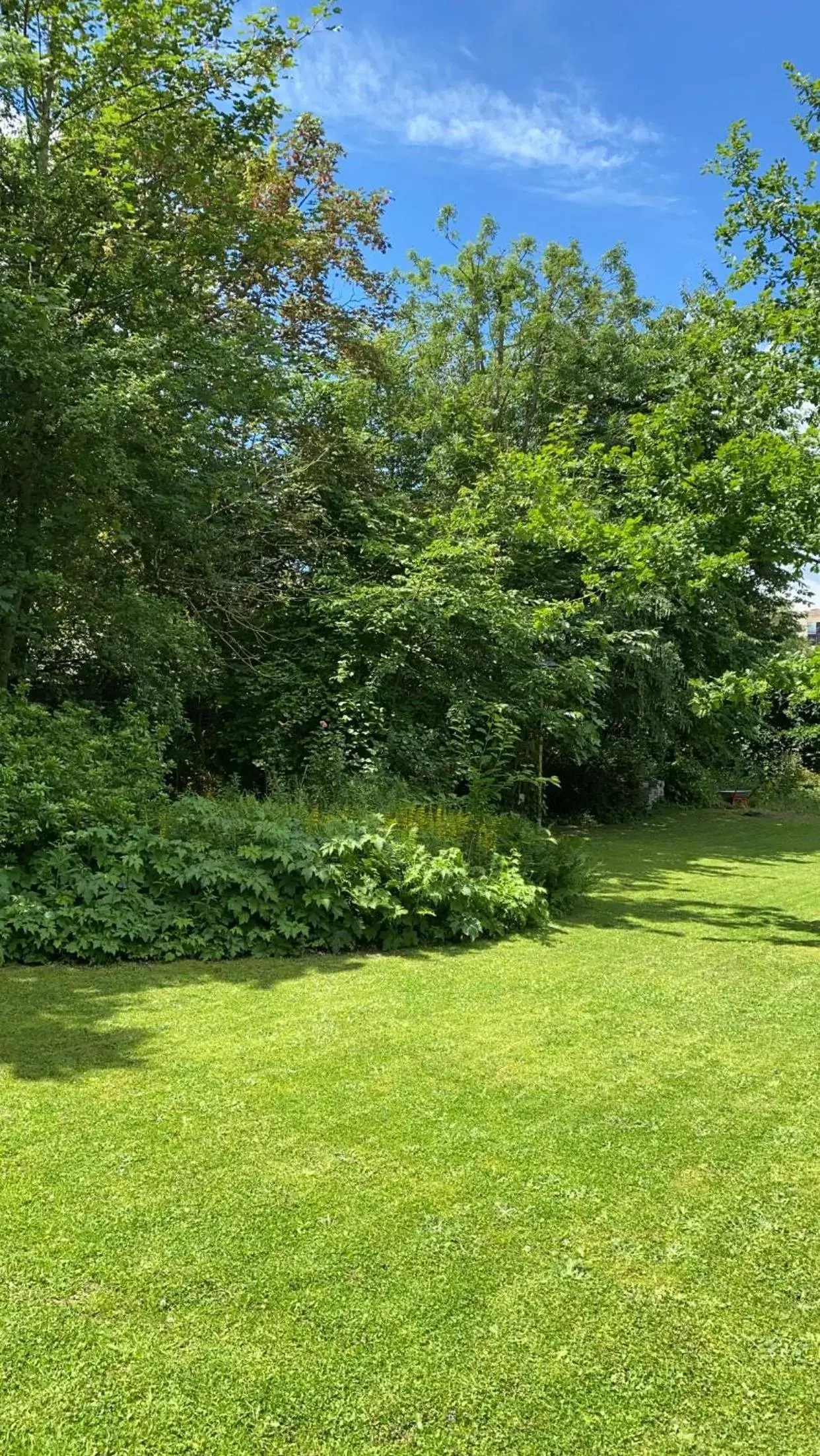 Garden in La Villa Barbieux