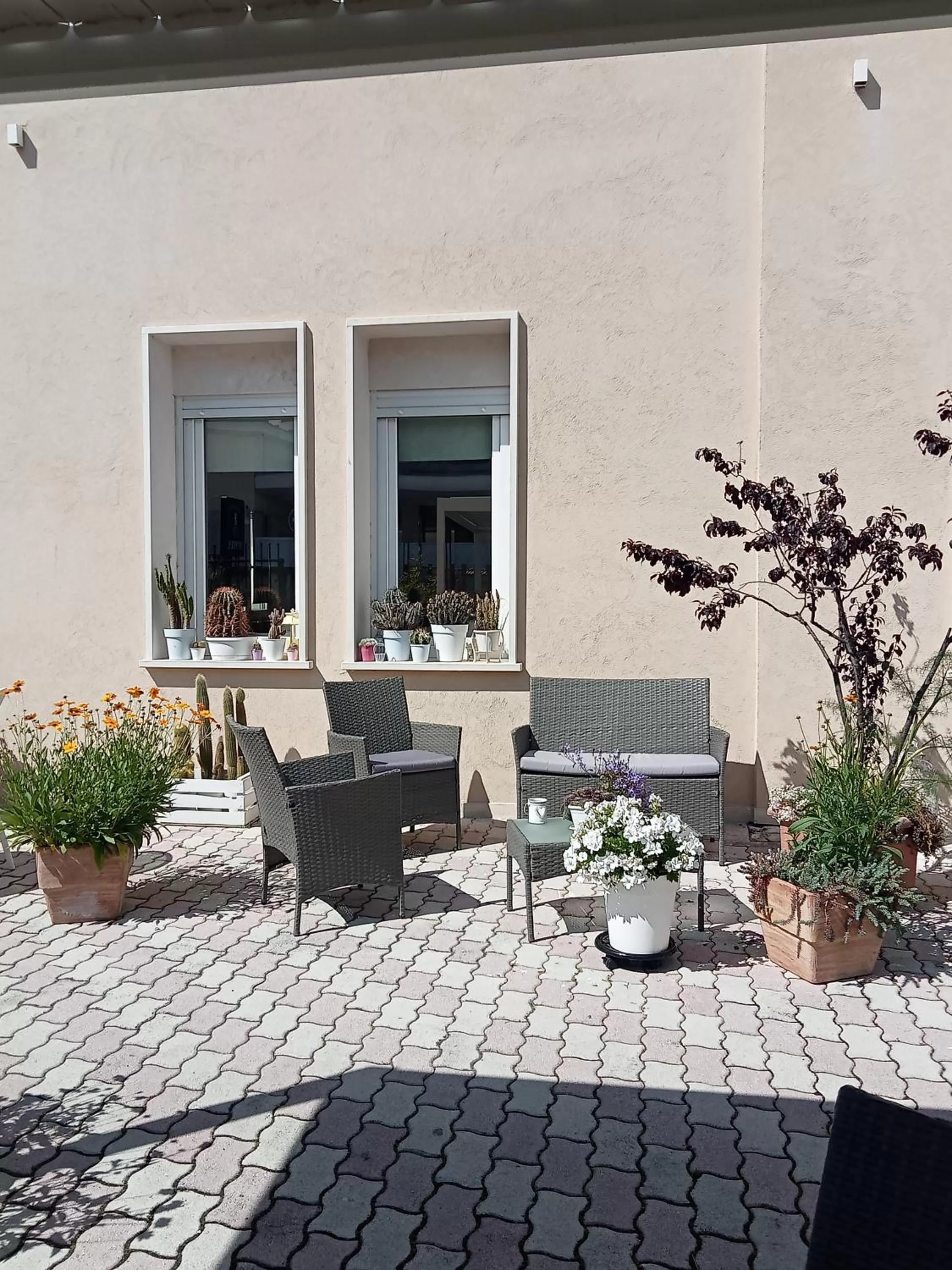 Patio in Hotel Porta Rivera