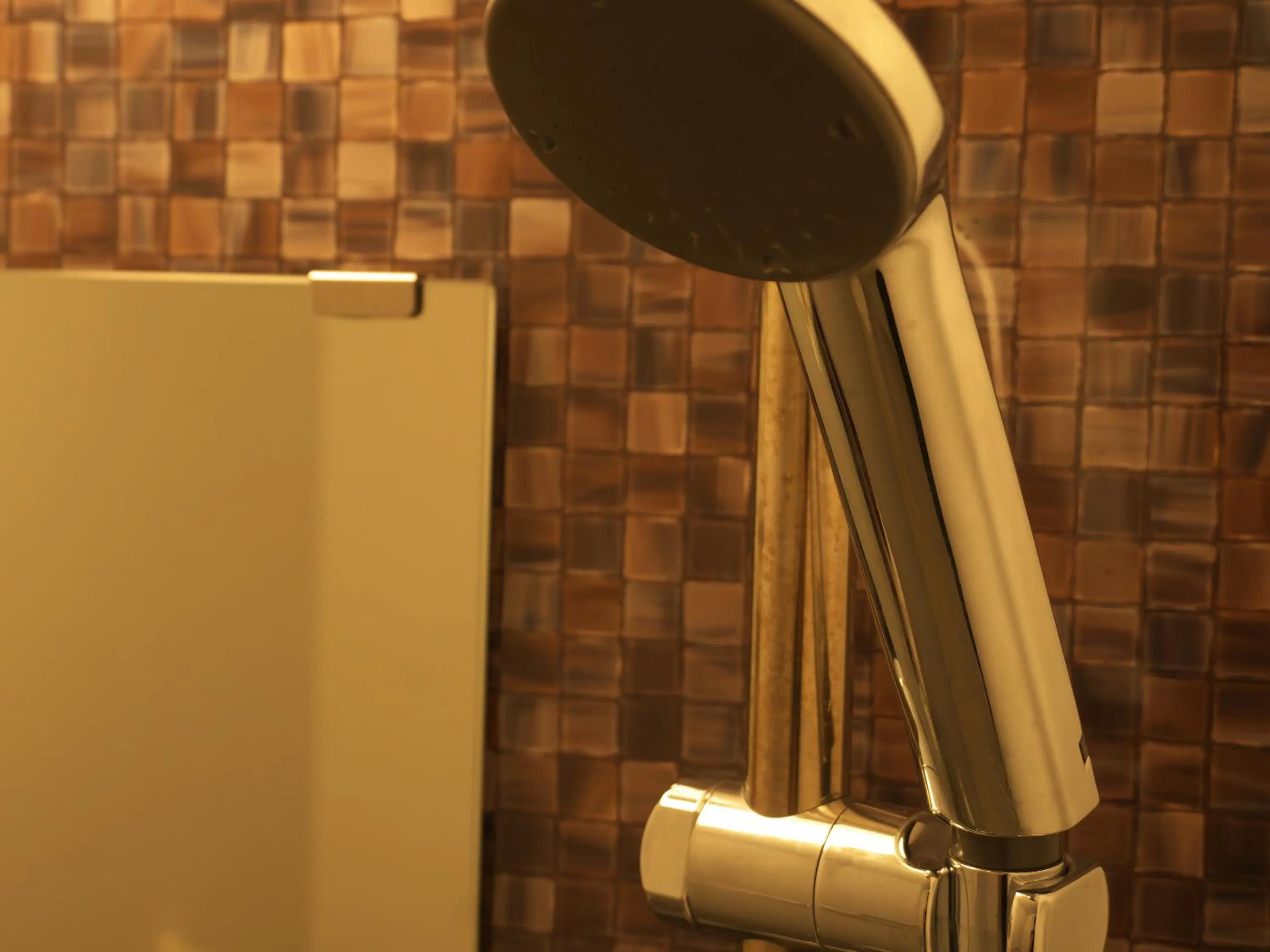 Shower in Cozy Stay in Naha