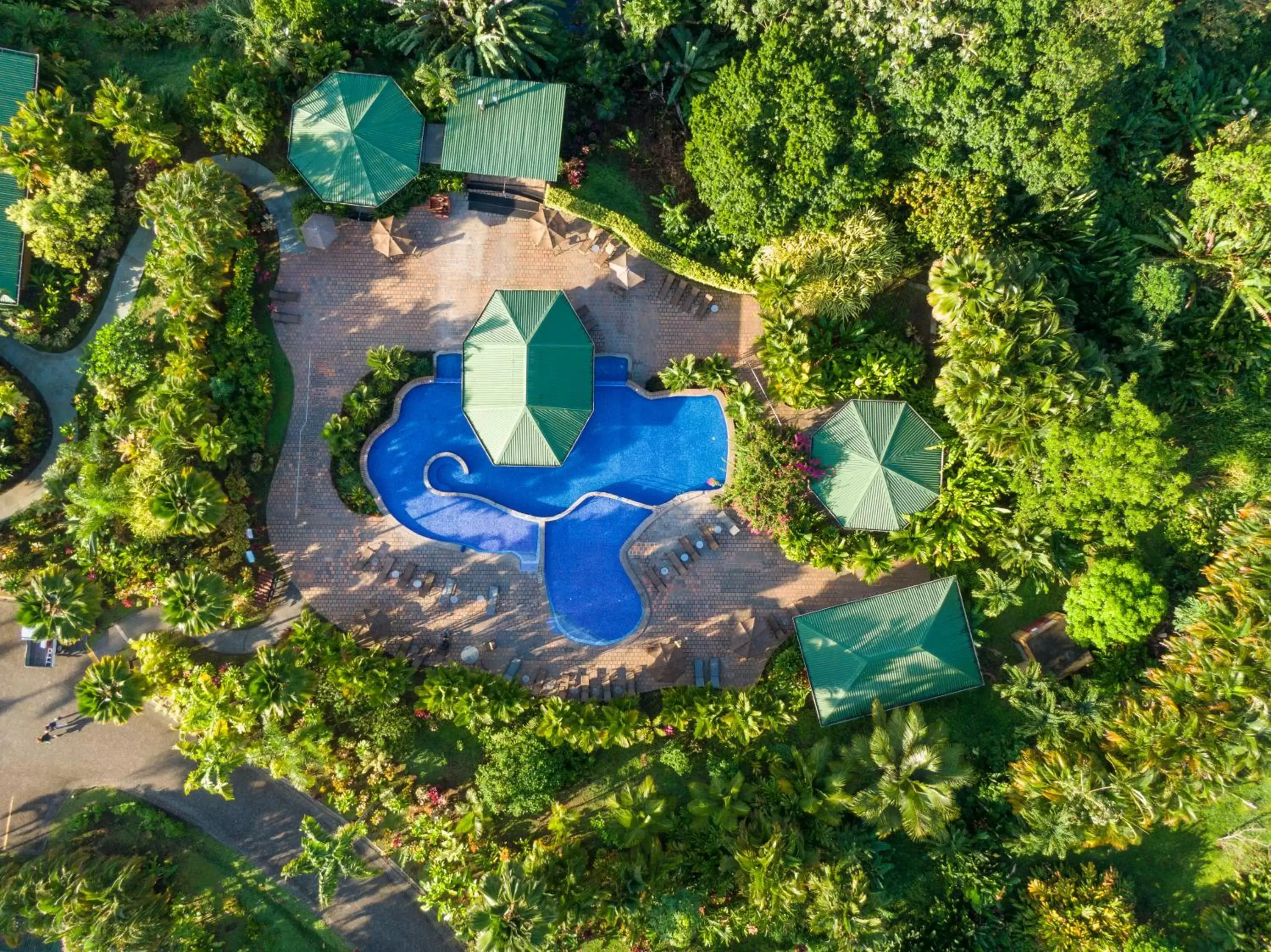 Swimming pool, Bird's-eye View in Arenal Manoa Resort & Hot Springs