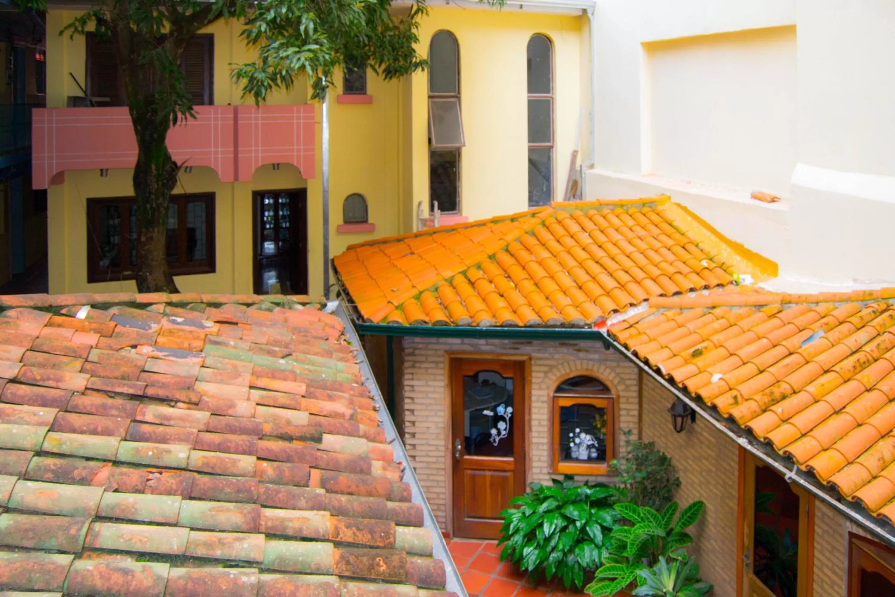 Garden view in Hotel & Restaurante Guarania