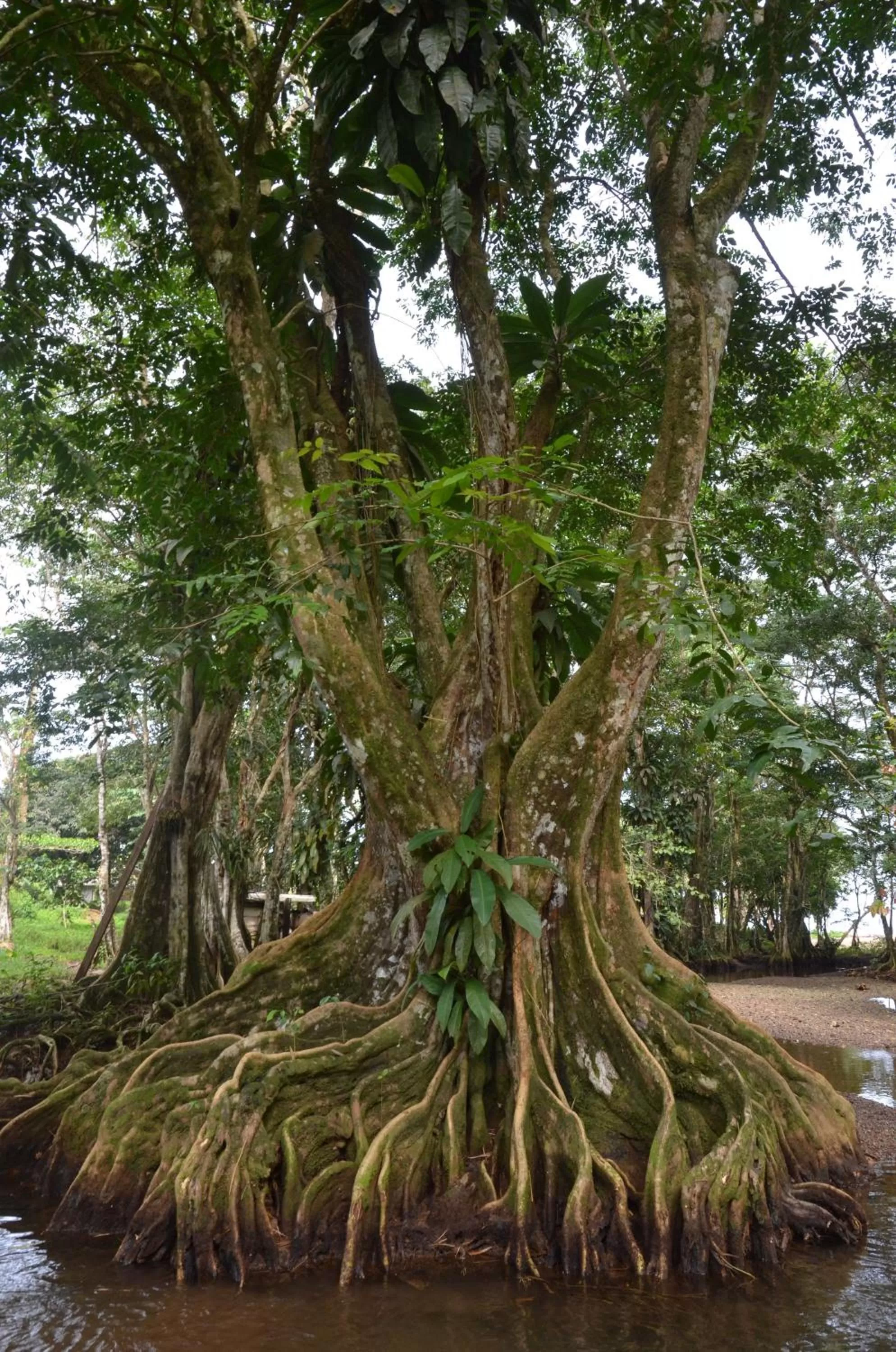 Property building in Posada Turística Rocas De Cabo Marzo
