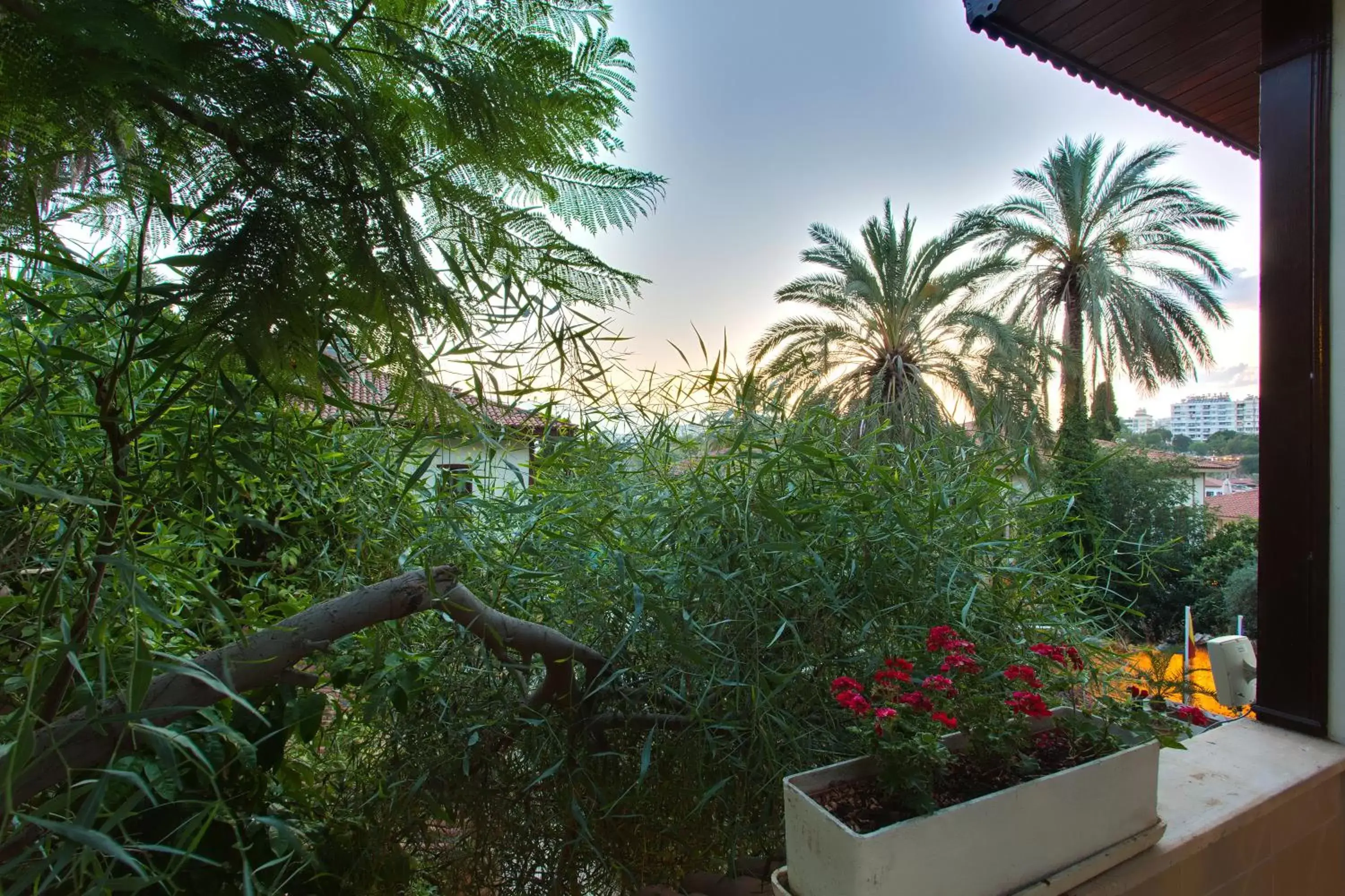 Garden in Dogan Hotel