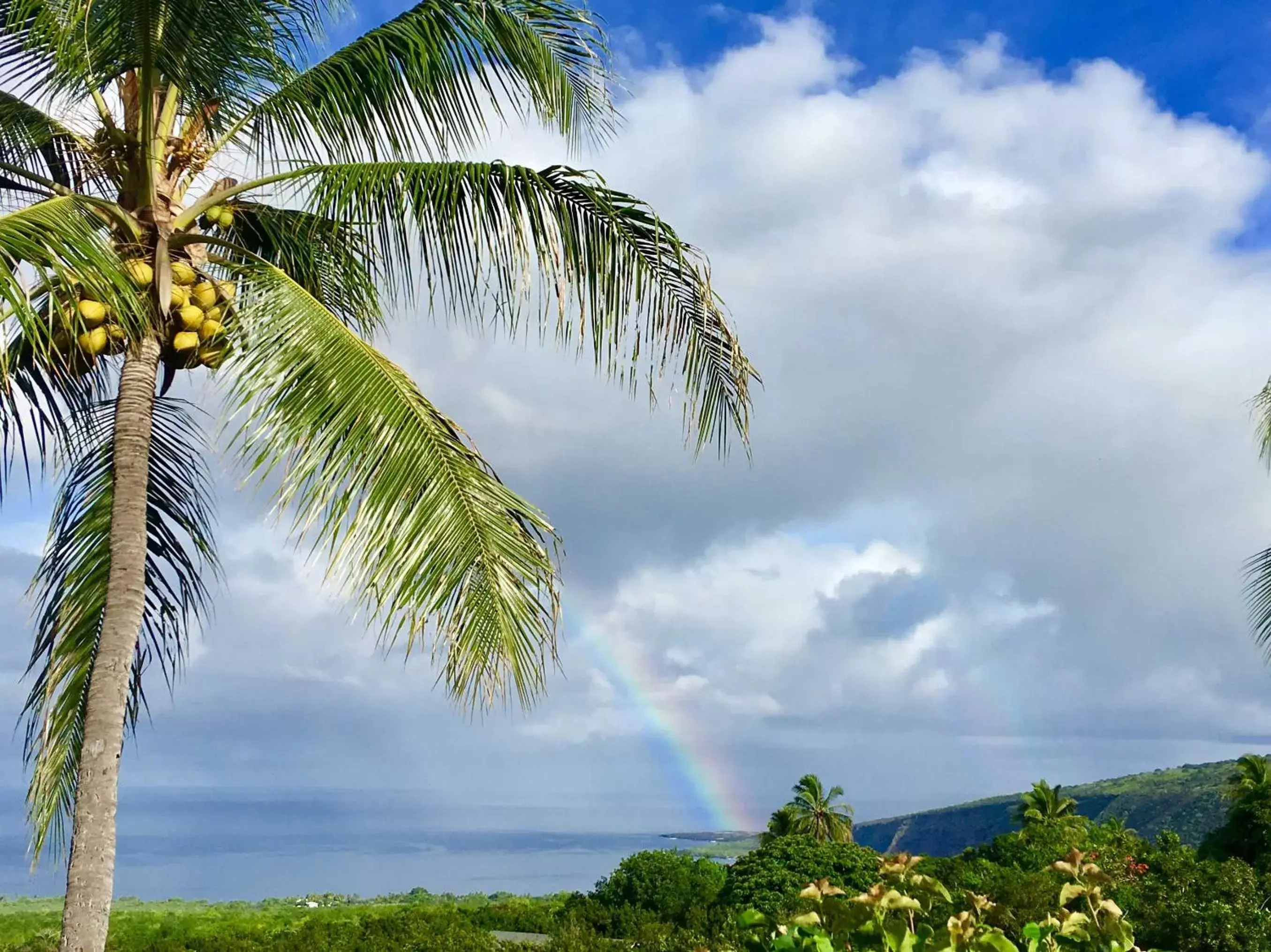 Sea view in Kona Bayview Inn