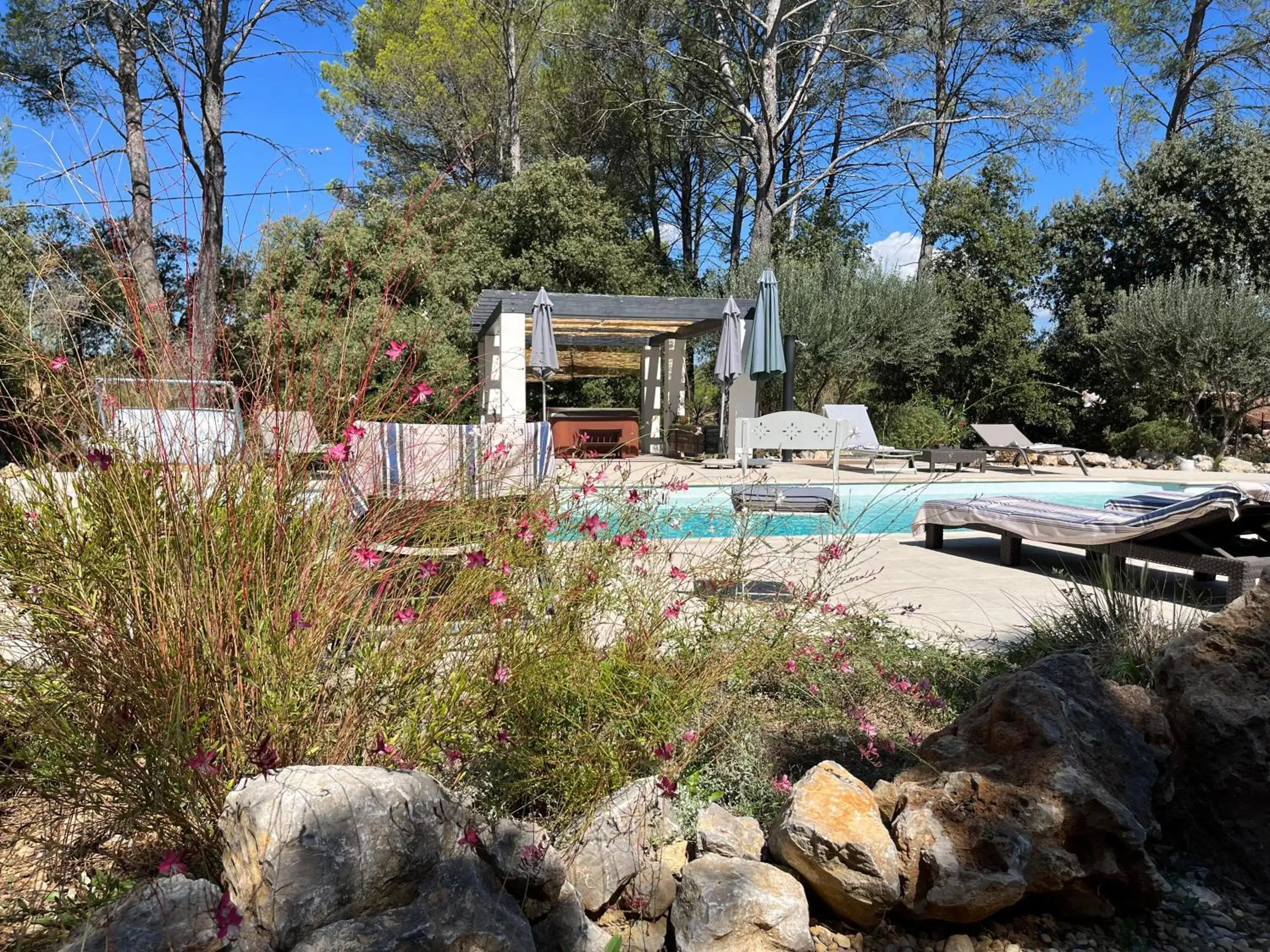 Swimming Pool in Villa CARPE DIEM