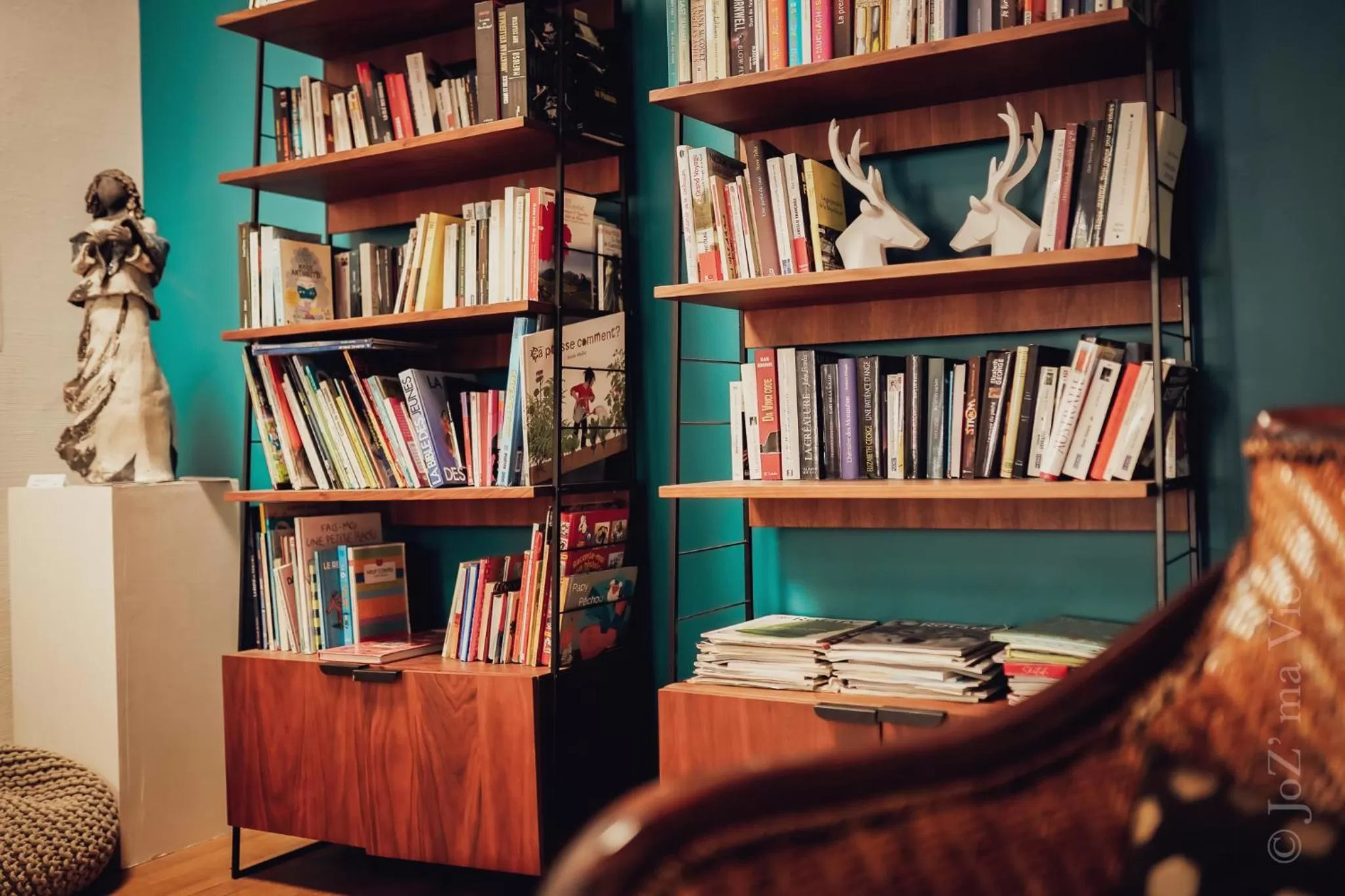 Library in Grand Hotel De La Poste - Lyon Sud - Vienne