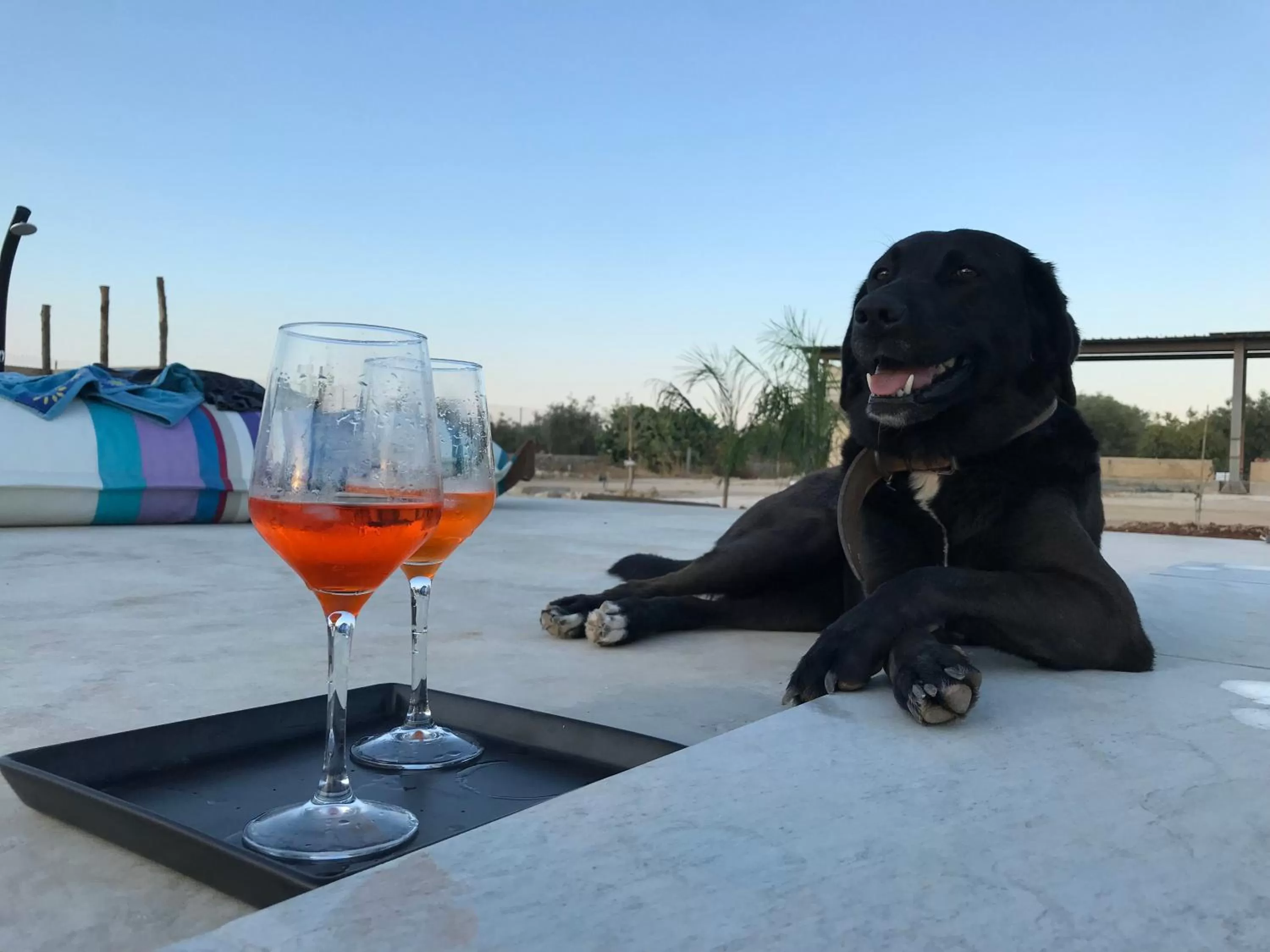 Pool view in CasapiuHolidaySicilia-Adults Only