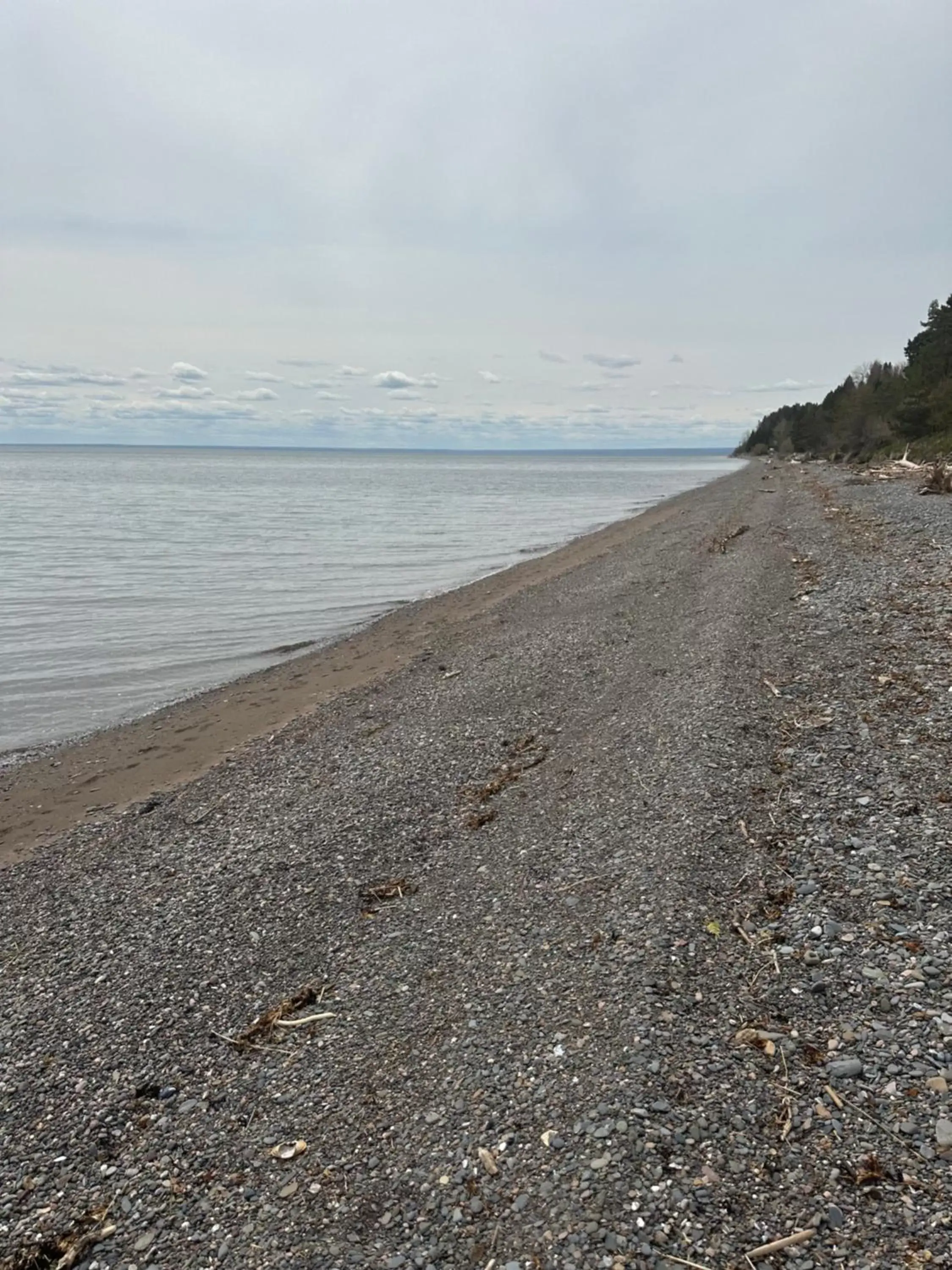 Beach in Motel Carleton Sur Mer