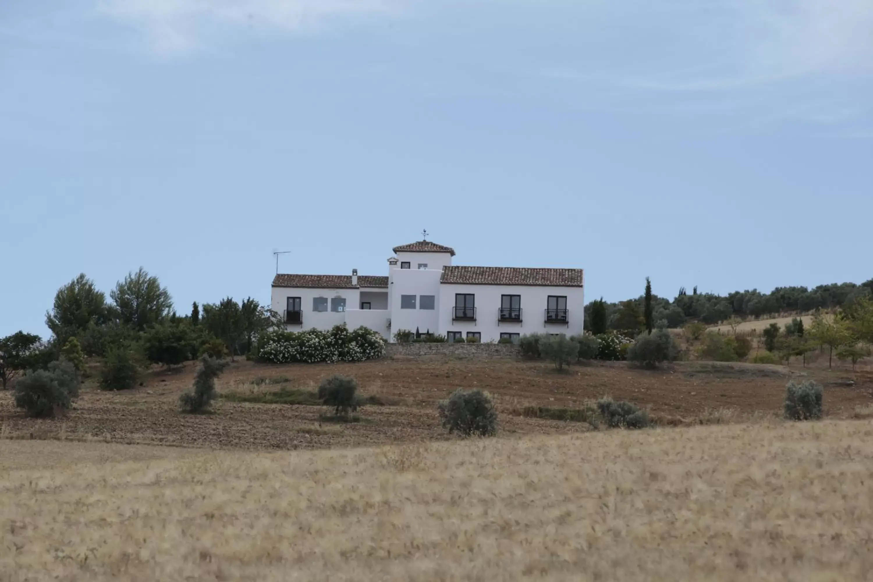 Facade/entrance, Property Building in Arriadh Hotel