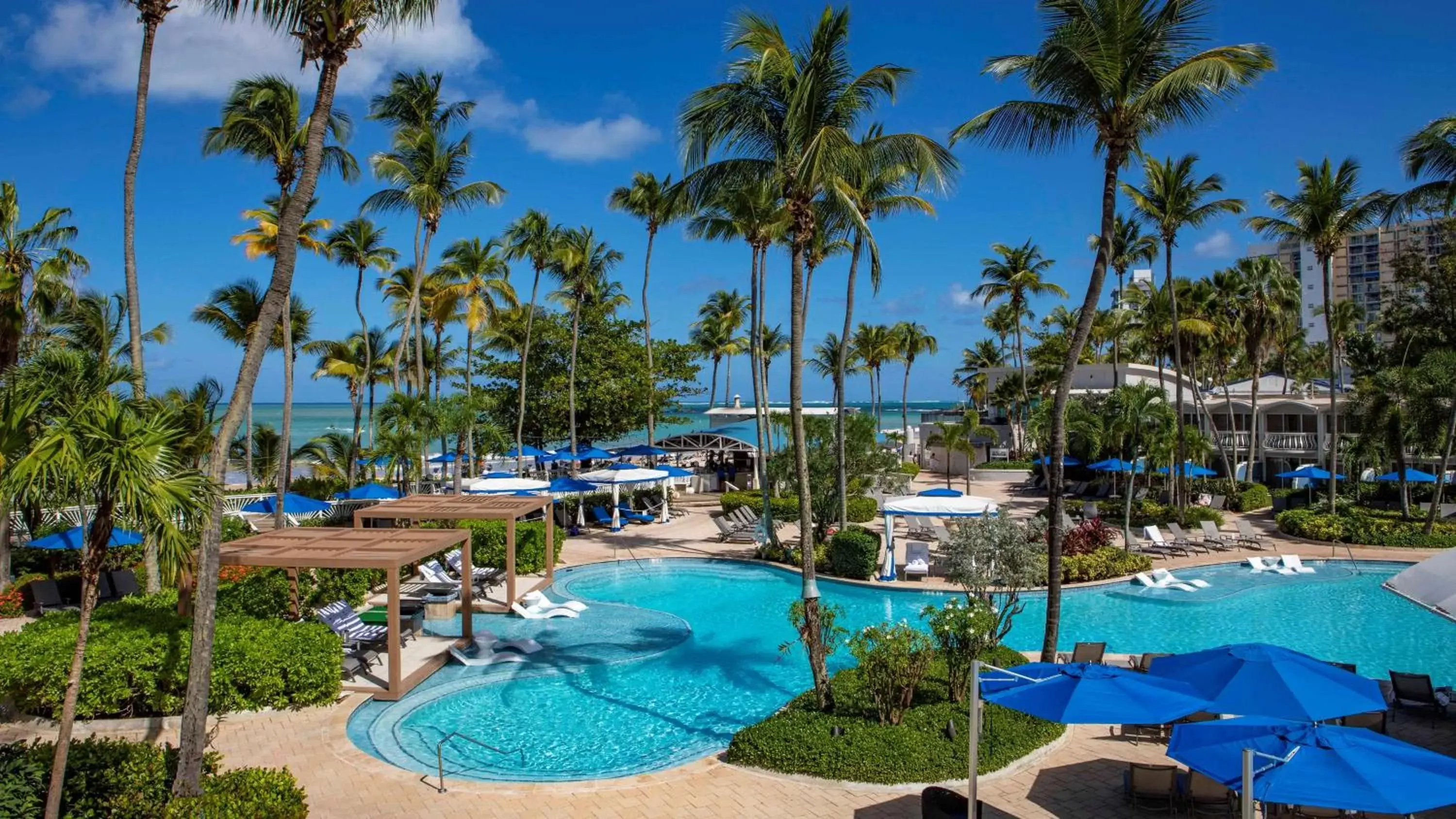 Activities, Swimming Pool in The Royal Sonesta San Juan